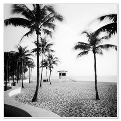 Fort Lauderdale Beach, Palm Tree, Florida, Schwarz-Weiß-Landschaftsfotografie