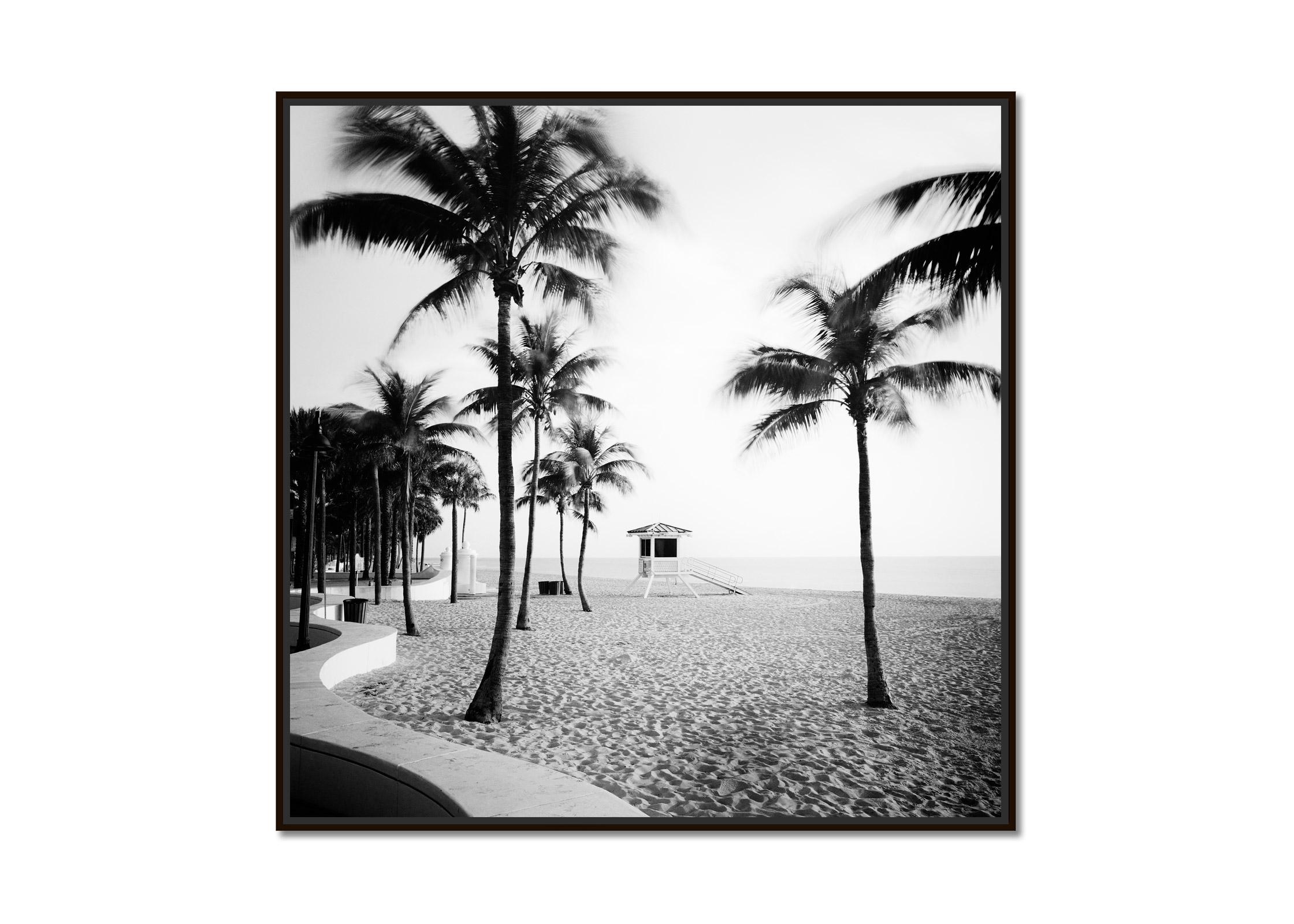 Fort Lauderdale Beach, Palm Tree, Florida, black and white landscape photography - Photograph by Gerald Berghammer