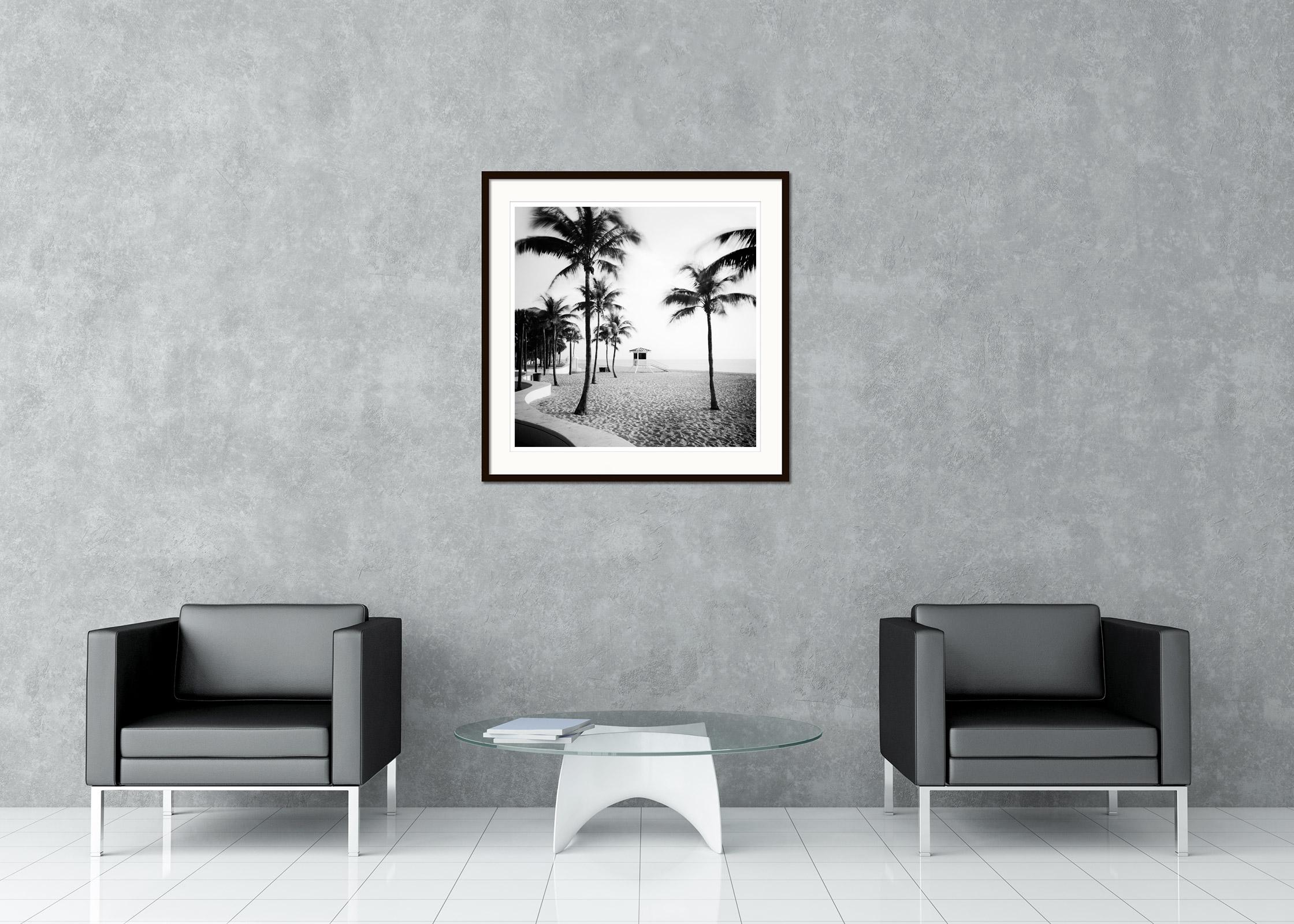 Fort Lauderdale Beach, Palm Tree, Florida, black and white landscape photography For Sale 1