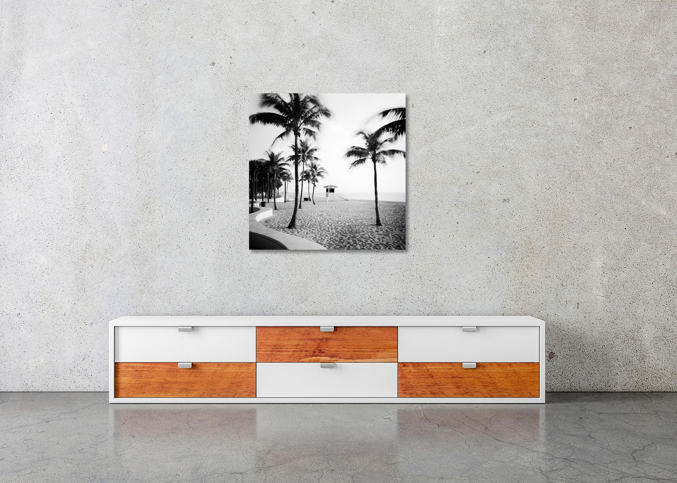 Fort Lauderdale Beach, Palm Tree, Florida, black and white landscape photography For Sale 3