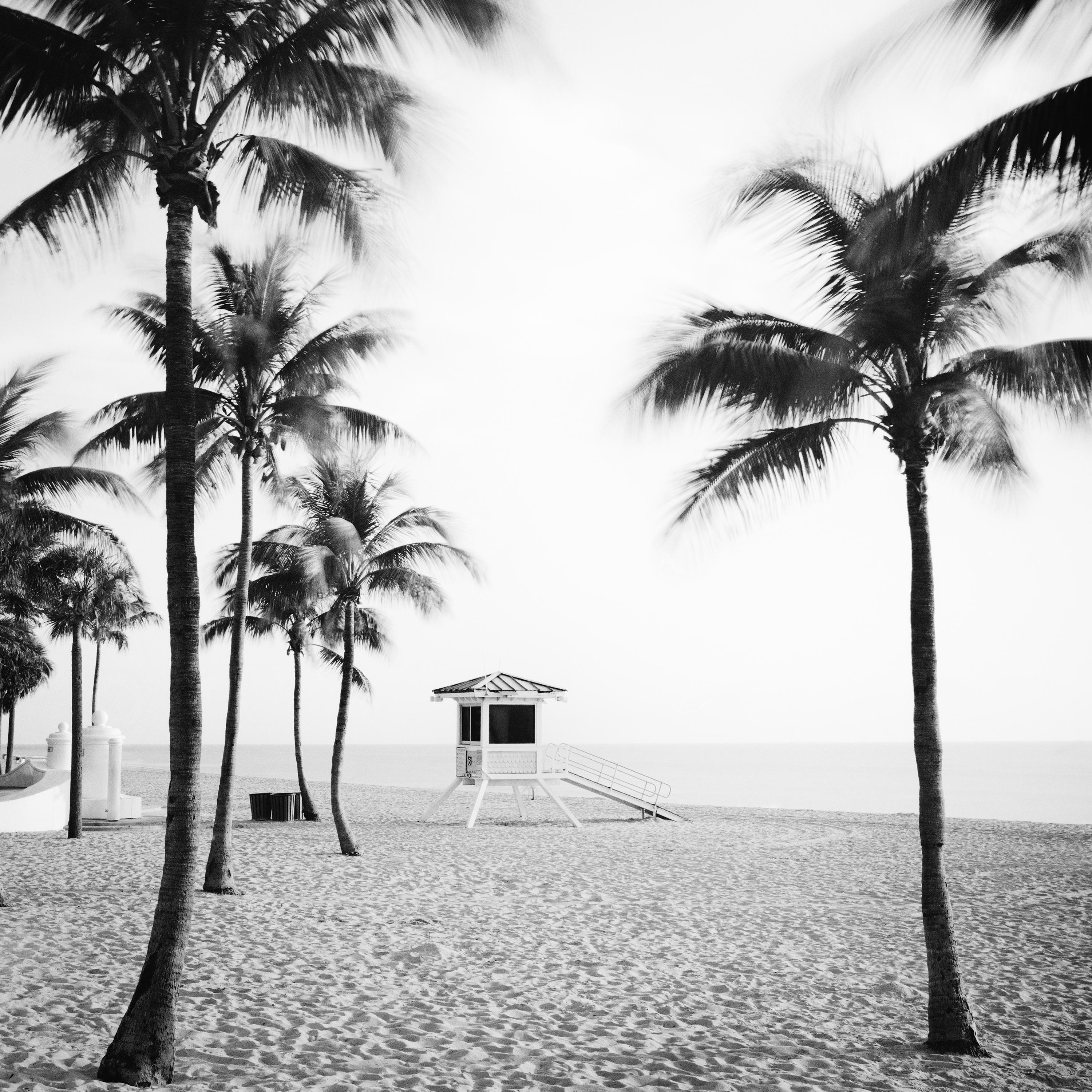 Fort Lauderdale Beach, Palm Tree, Florida, black and white landscape photography For Sale 4