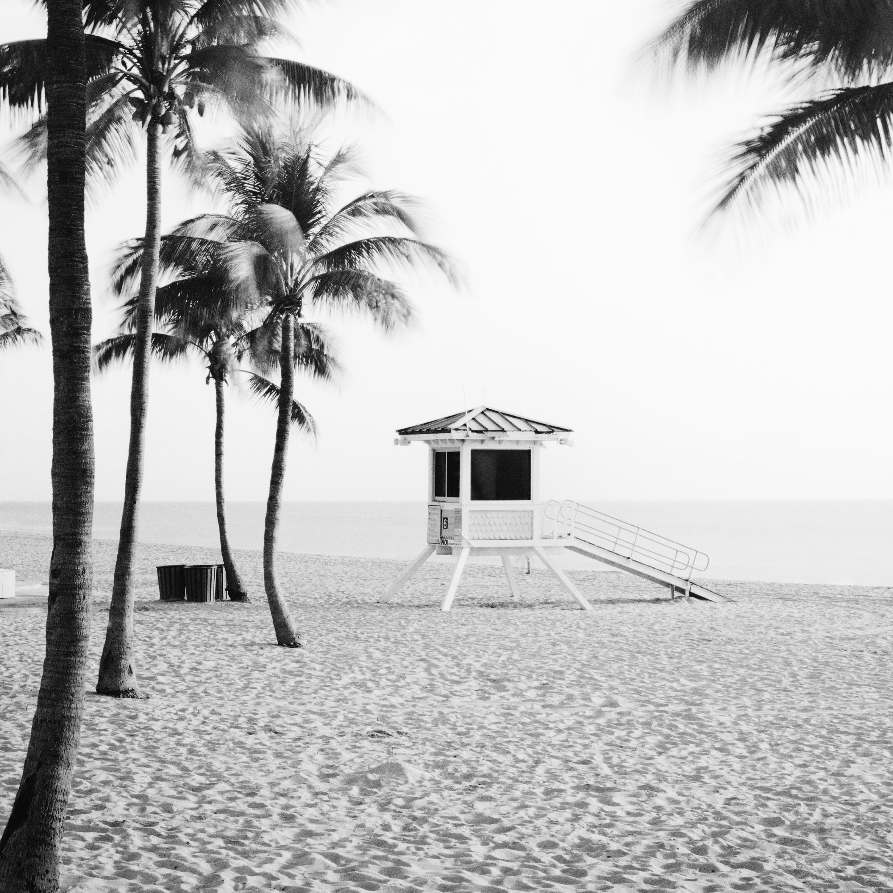 Fort Lauderdale Beach, Palm Tree, Florida, black and white landscape photography For Sale 5