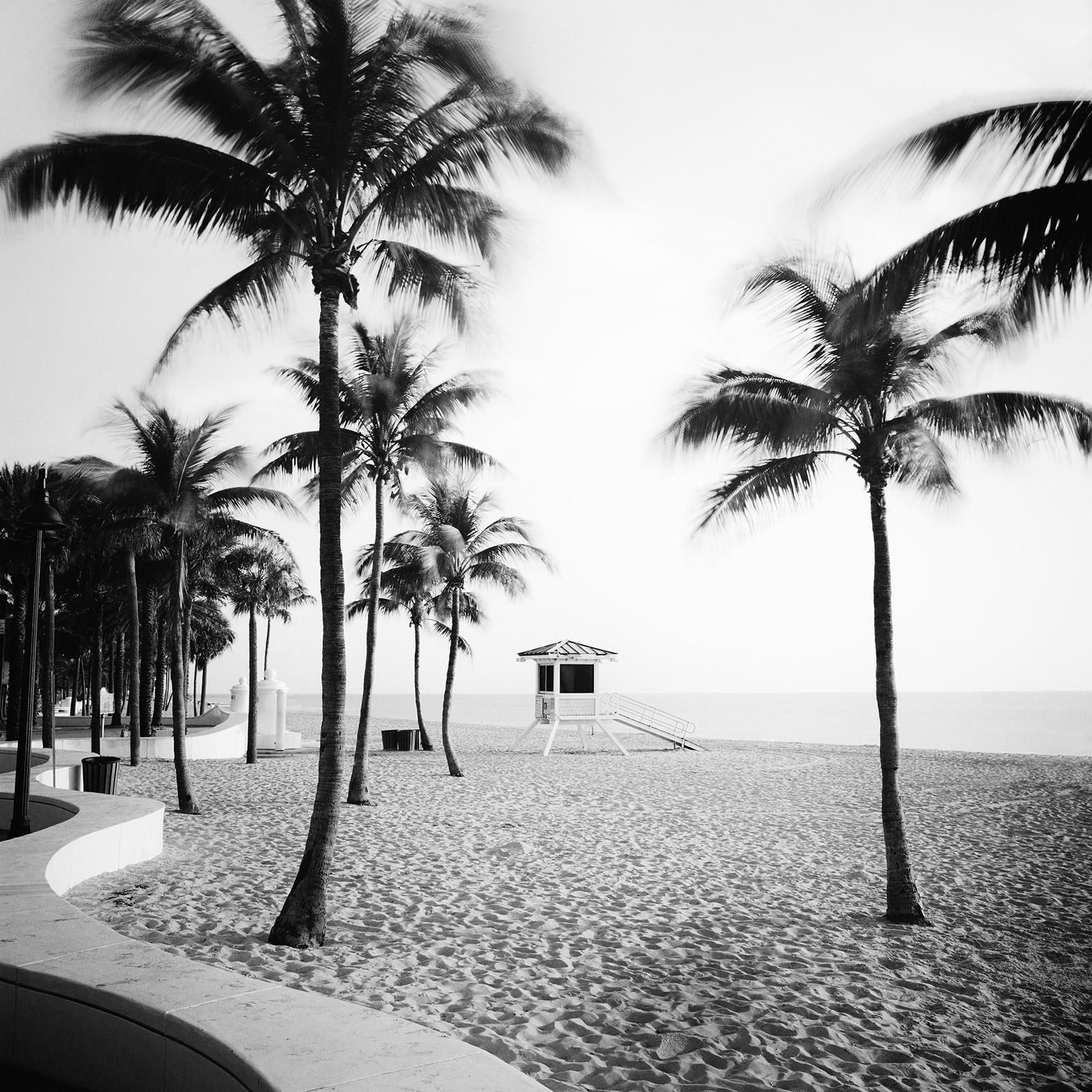 Gerald Berghammer Black and White Photograph - Fort Lauderdale Beach, Palm Tree, Florida, black and white landscape photography