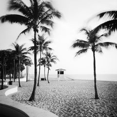 Fort Lauderdale Beach Palm Trees Florida black and white landscape photography