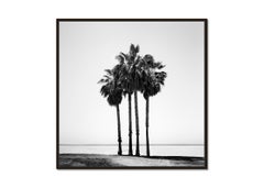 Four Palms, monochrome photograph, limited edtion, california beach landscaspe