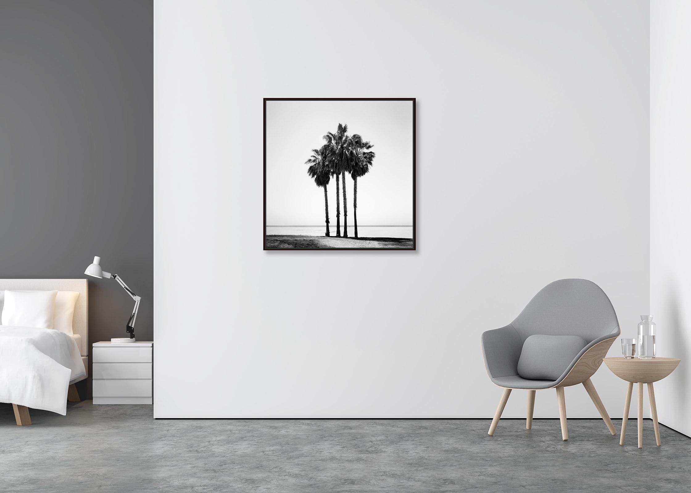 Four Palms, Venice Beach, California, black and white photography, landscape - Contemporary Photograph by Gerald Berghammer