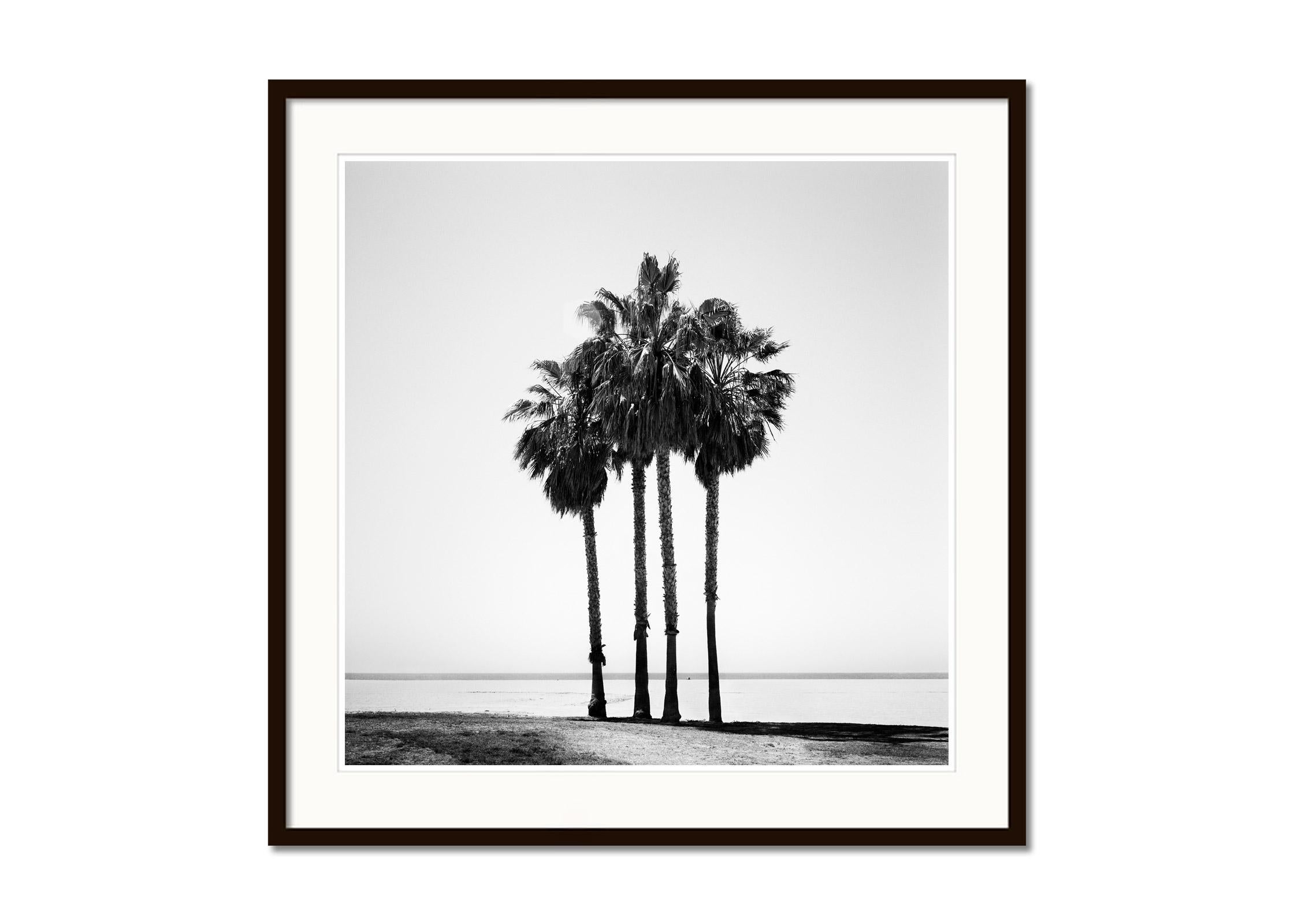 Four Palms, Venice Beach, California, black and white photography, landscape - Gray Landscape Photograph by Gerald Berghammer