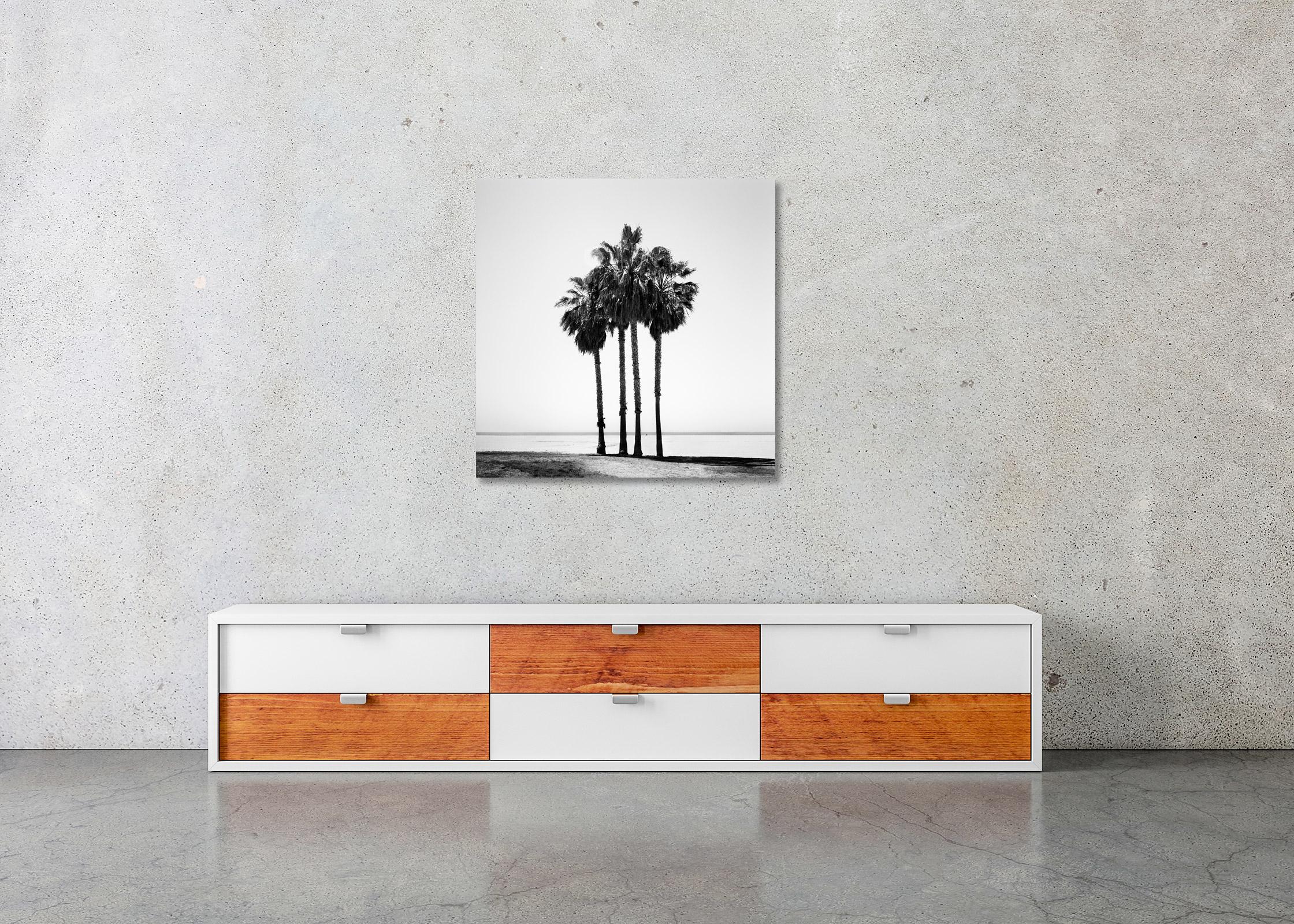 Four Palms, Venice Beach, California, black and white photography, landscape For Sale 2