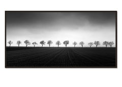 Vierzehn Kirschbaumbäume, Schwarz-Weiß-Fotografien, Landschaft, limitierte Auflage