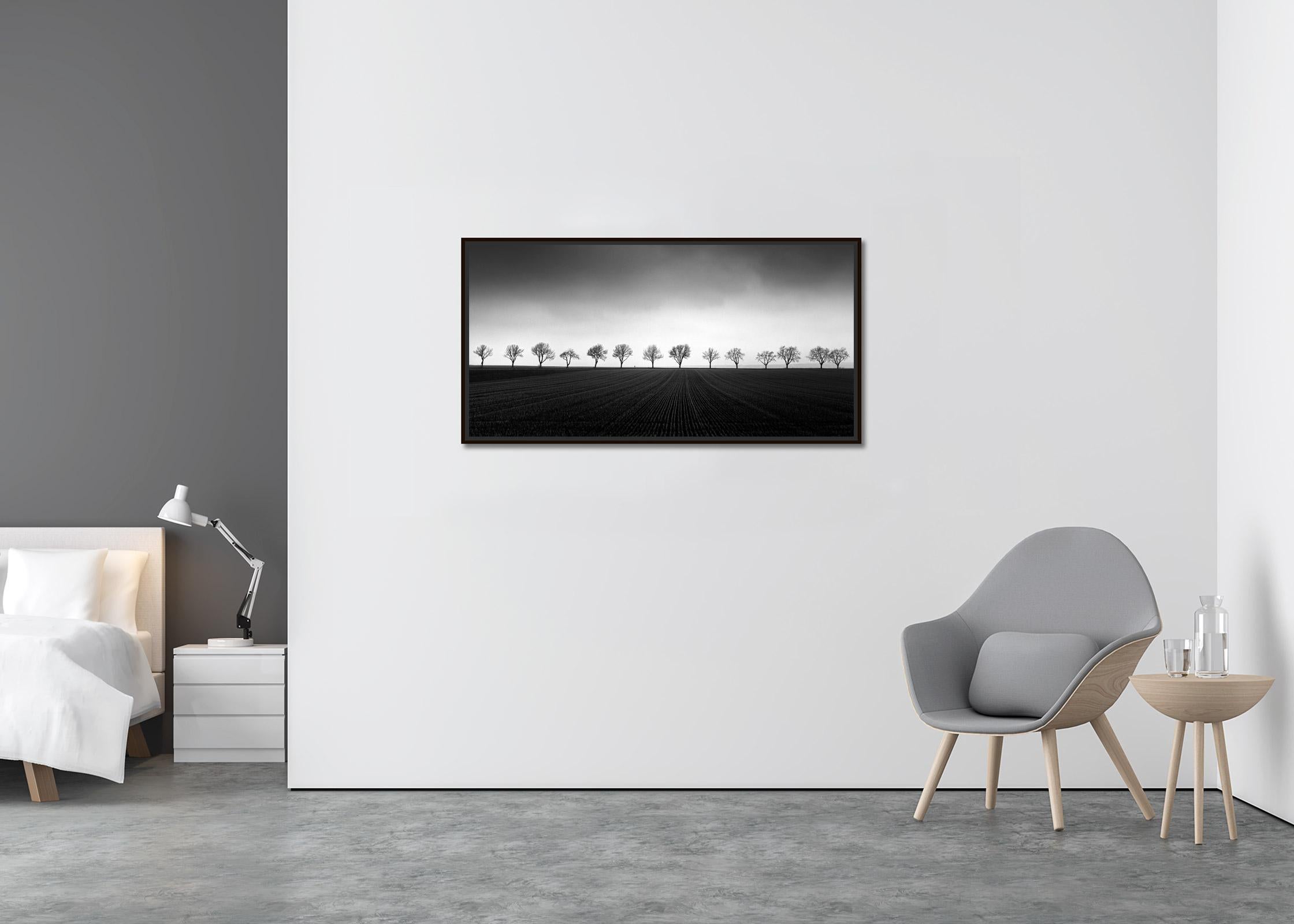 Fourteen Cherry Trees, Cornfield, black and white photography, art, landscape - Contemporary Photograph by Gerald Berghammer