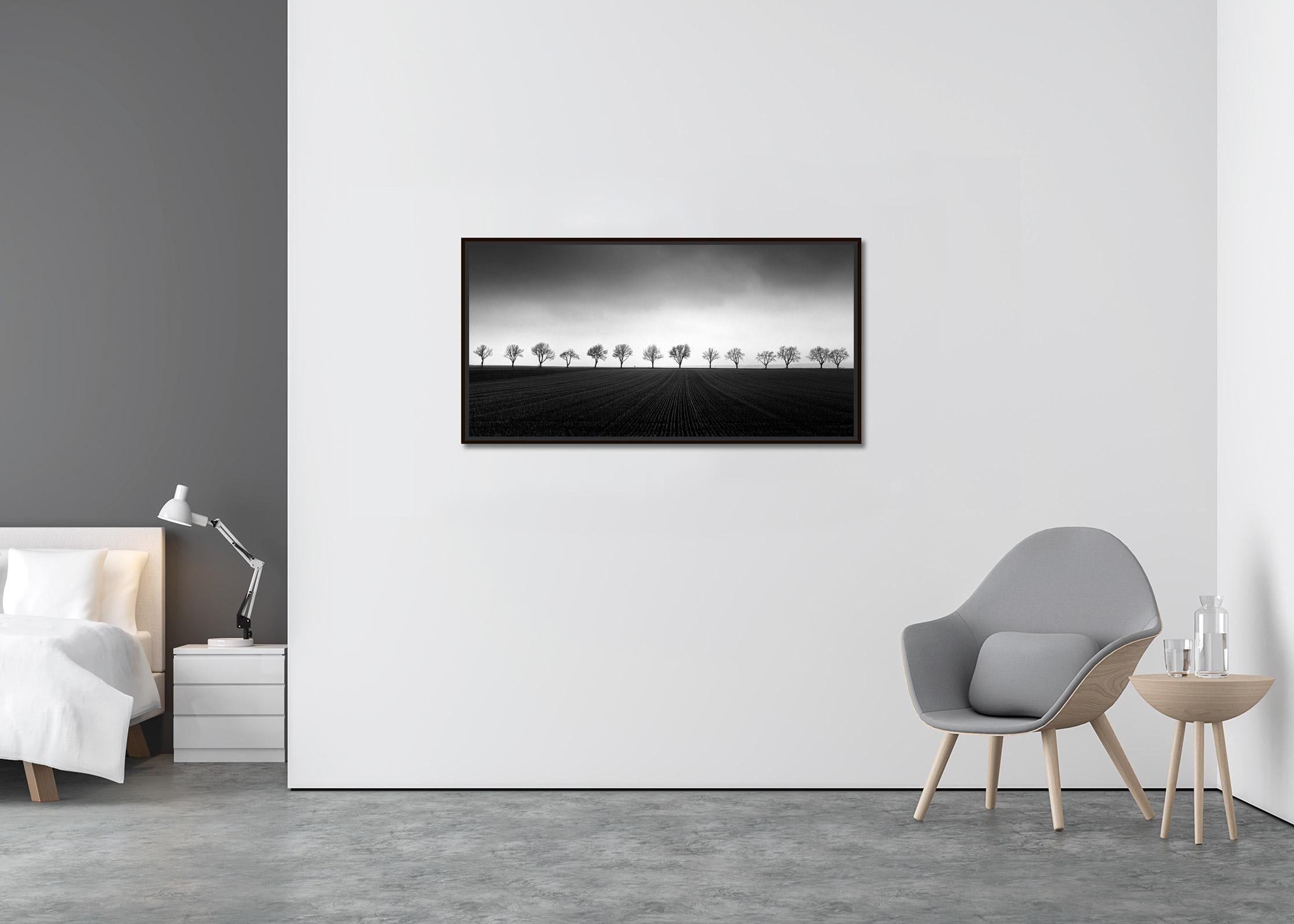 Fourteen Cherry Trees, black and white photographs, landscape, limited edition - Abstract Photograph by Gerald Berghammer