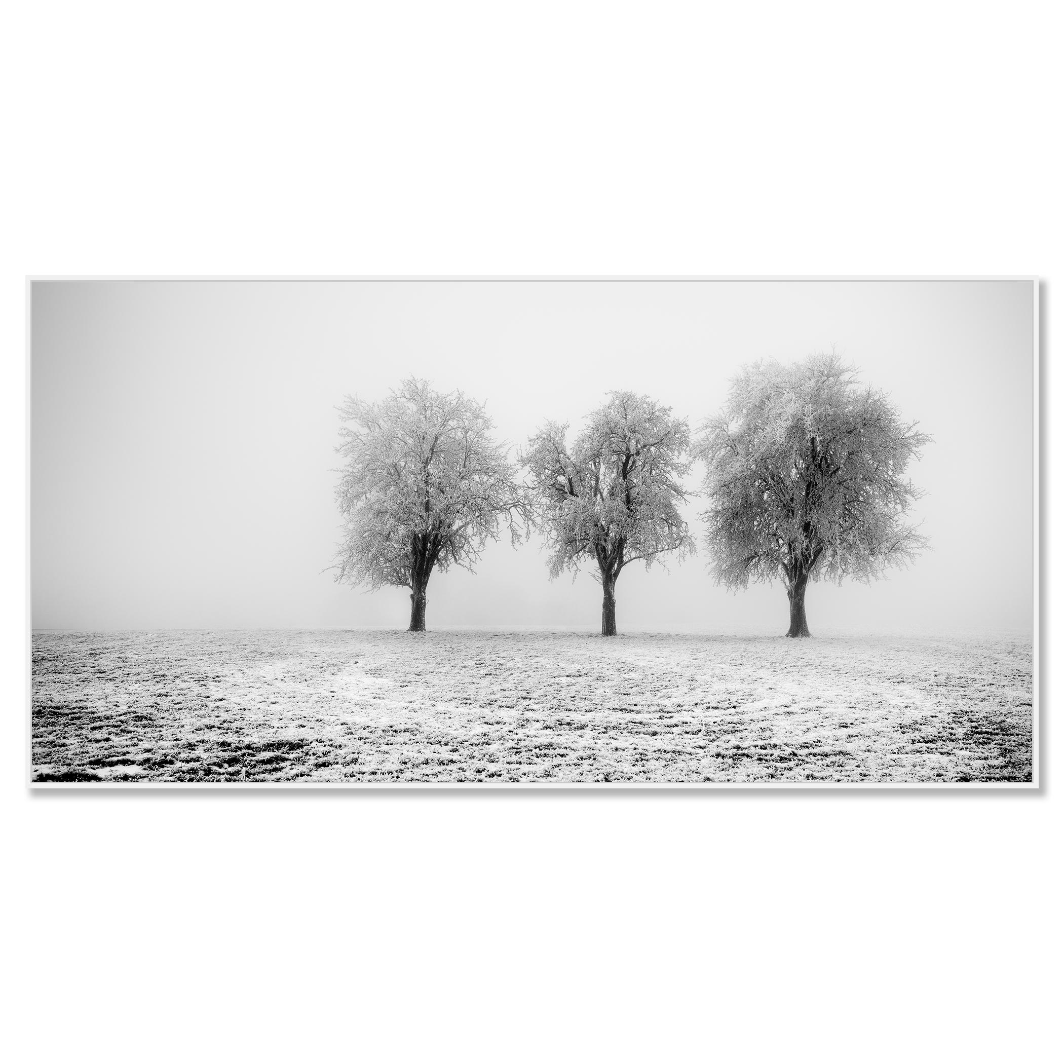 Frozen Apple Trees Panorama limited edition - Contemporary Photograph by Gerald Berghammer