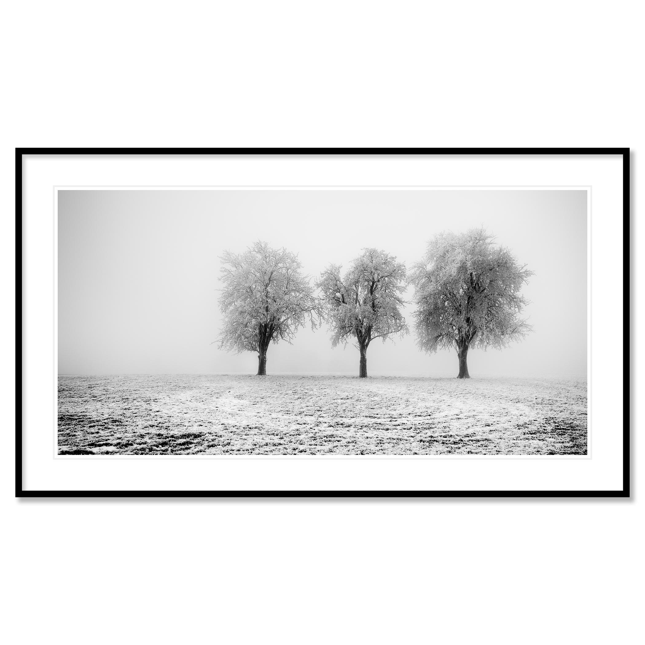 Black and White Fine Art Panorama Landscape. Archival pigment ink print, edition of 7. Signed, titled, dated and numbered by artist. Certificate of authenticity included. Printed with 4cm white border.
International award winner photographer -