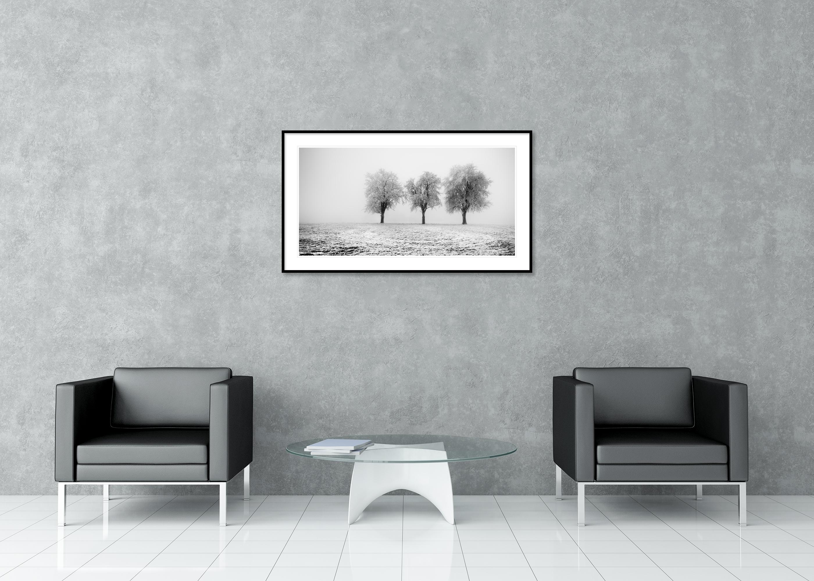 Frozen Apple Trees Panorama limited edition For Sale 2