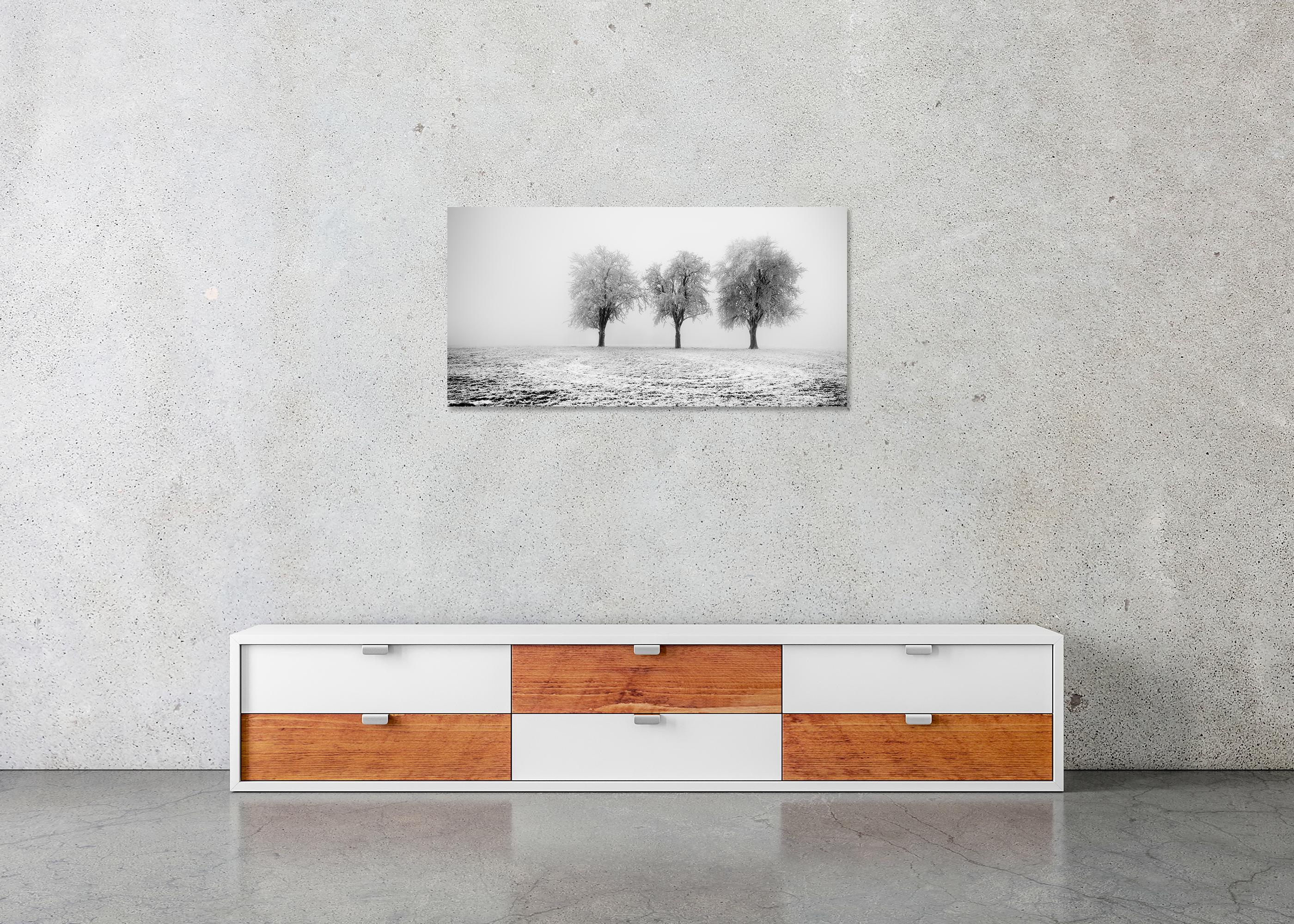 Frozen Apple Trees Panorama limited edition For Sale 4