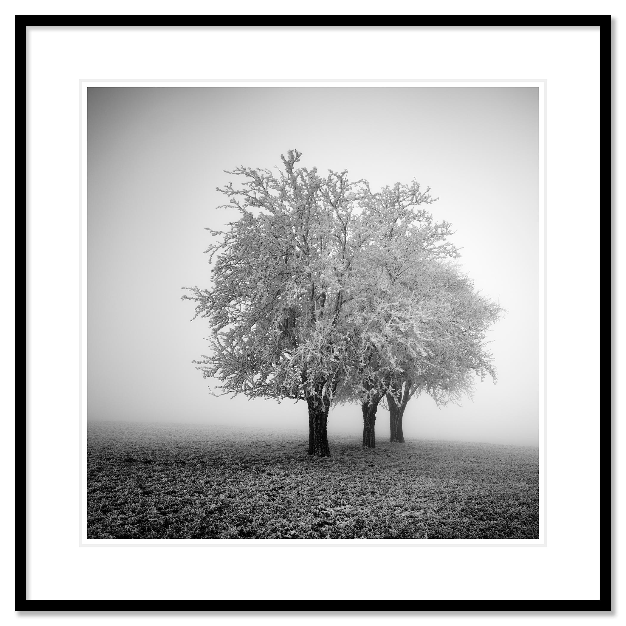Black and white fine art winter landscape photography print. Archival pigment ink print, edition of 7. Signed, titled, dated and numbered by artist. Certificate of authenticity included. Printed with 4cm white border.
International award winner