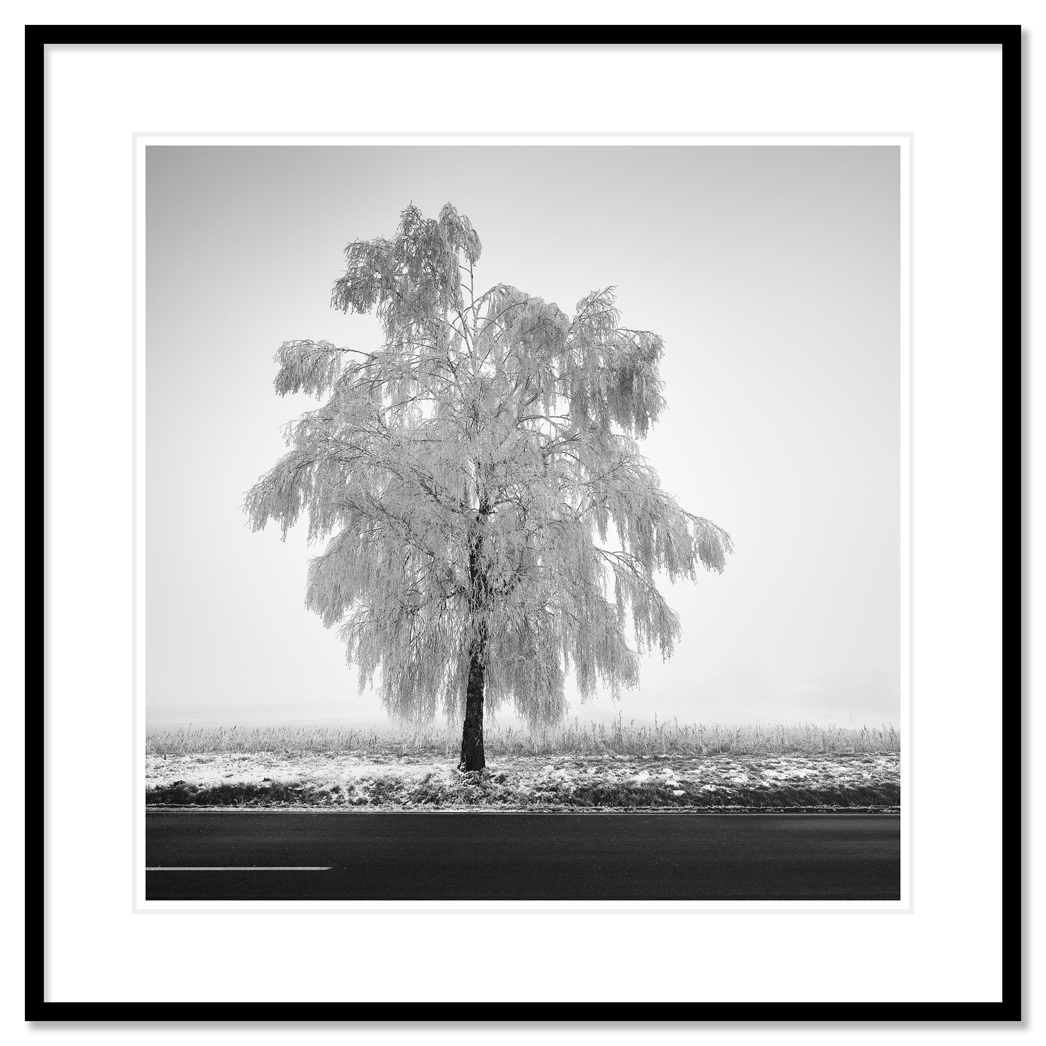 Photographie d'art en noir et blanc d'un paysage hivernal. Épreuve à l'encre pigmentaire d'archives, édition de 7 exemplaires. Signée, titrée, datée et numérotée par l'artiste. Certificat d'authenticité inclus. Imprimé avec une bordure blanche de 4