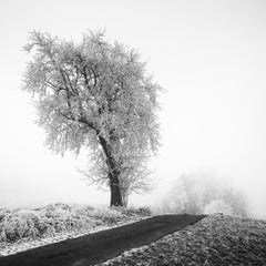 Landscape Photography