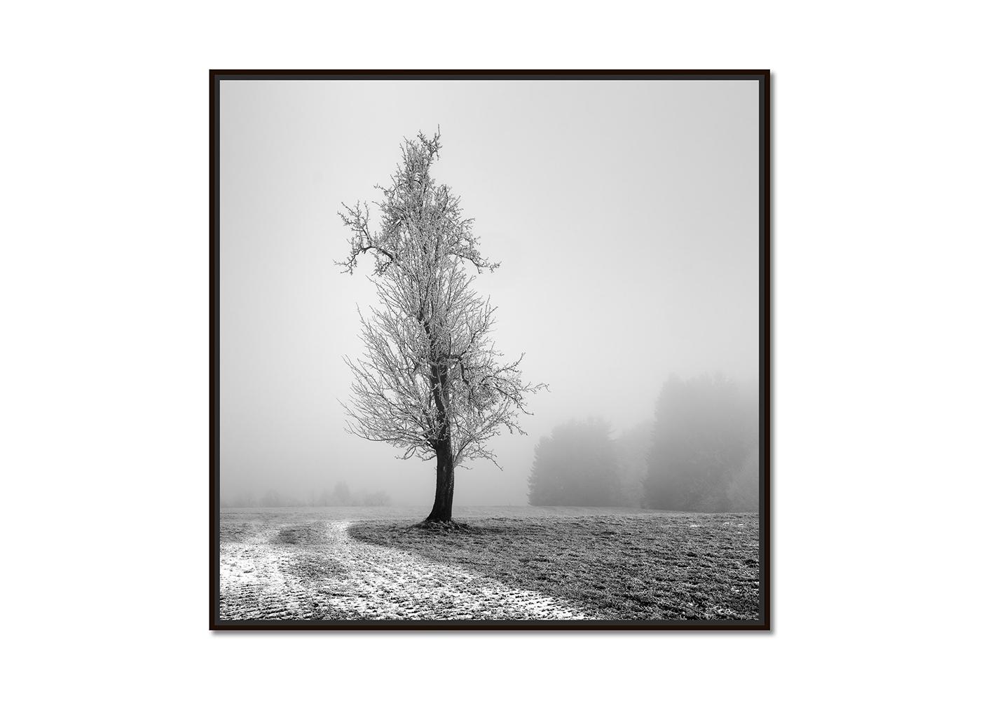 Frozen Farmland, minimalist black and white photograph, limited edition print - Photograph by Gerald Berghammer