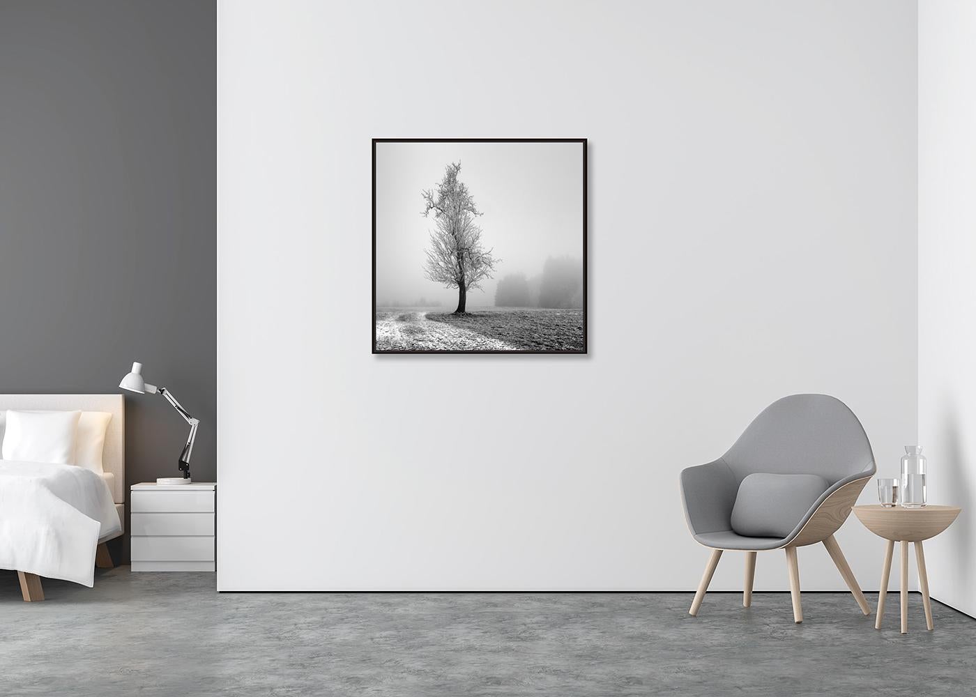 Frozen Farmland, minimalist black and white photograph, limited edition print - Contemporary Photograph by Gerald Berghammer