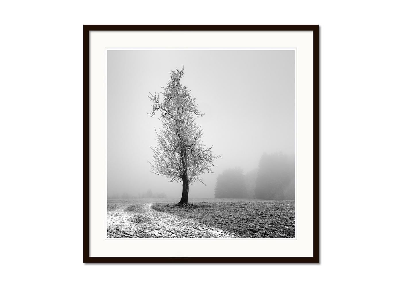 Frozen Farmland, minimalist black and white photograph, limited edition print - Gray Black and White Photograph by Gerald Berghammer