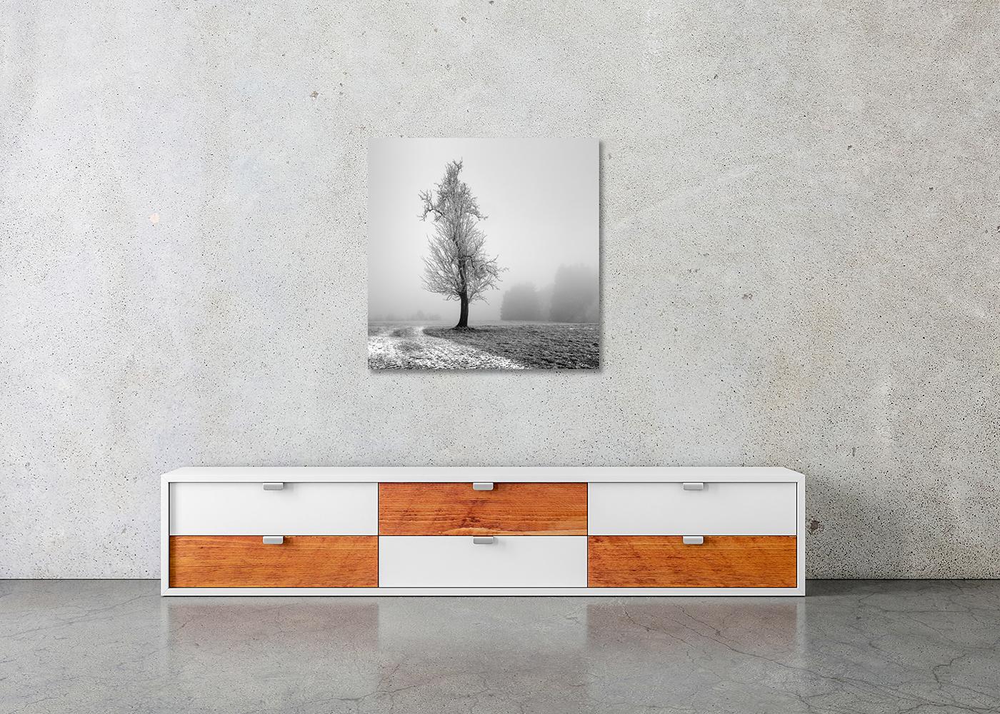 Frozen Farmland, minimalist black and white photograph, limited edition print For Sale 2