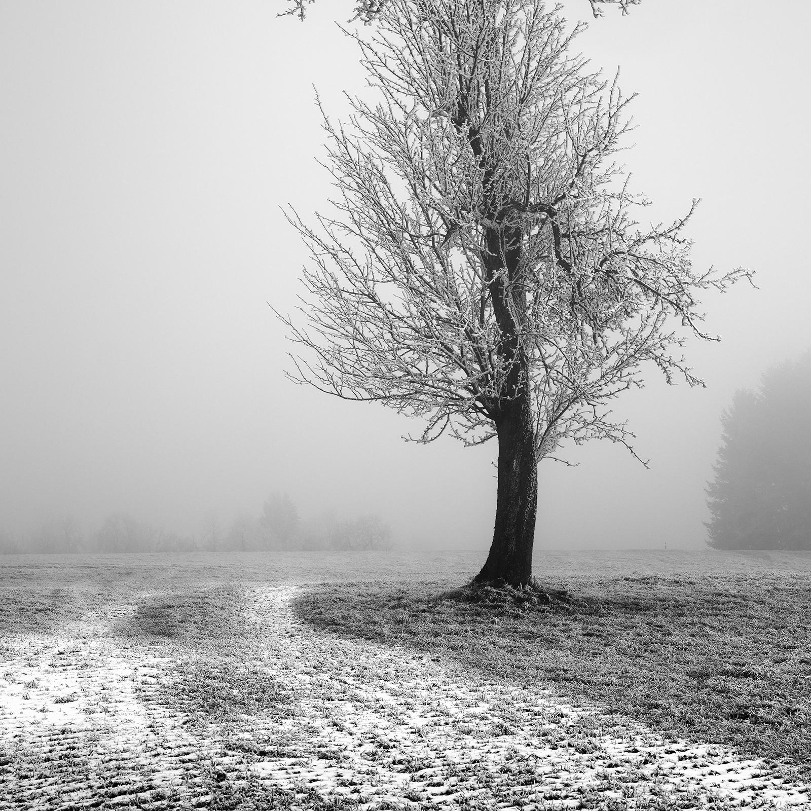 Frozen Farmland, minimalist black and white photograph, limited edition print For Sale 3
