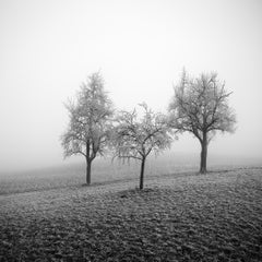 Photographie noir et blanc