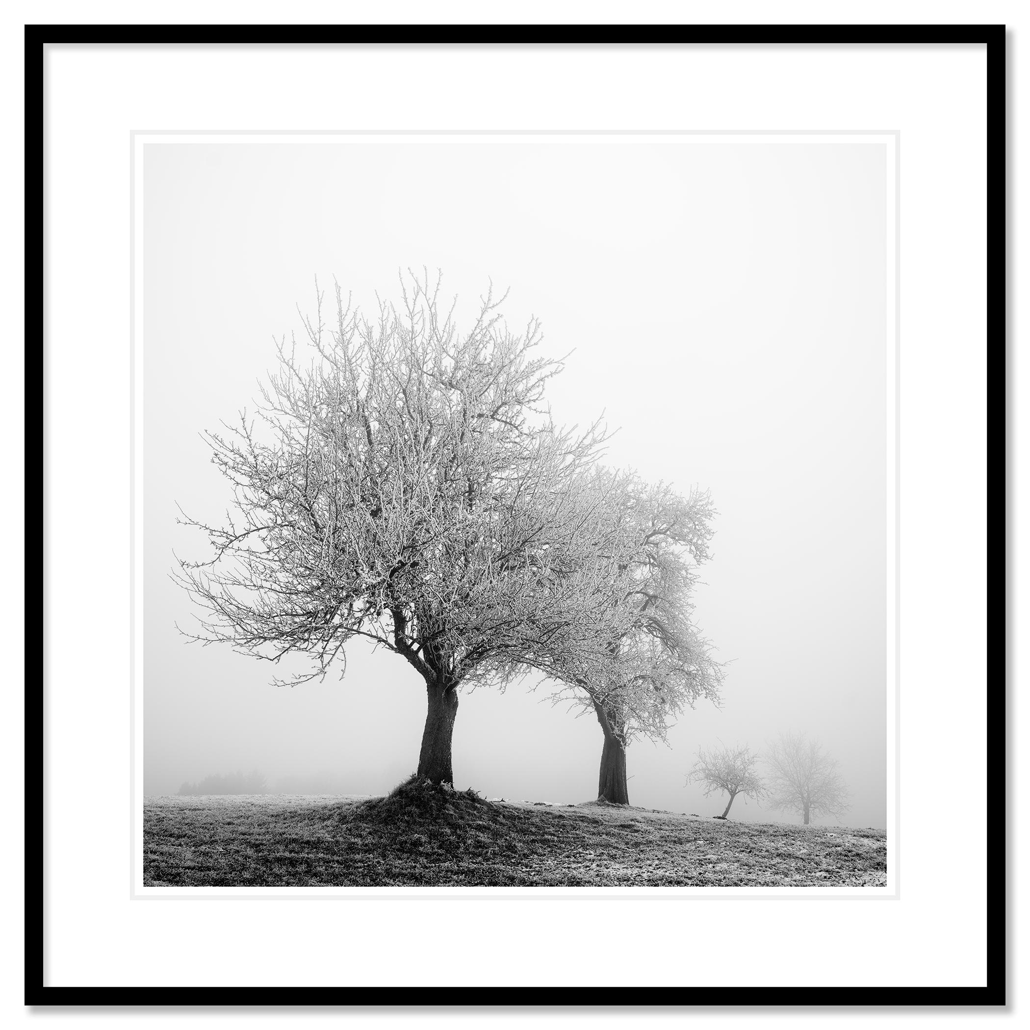 Stampa fotografica in bianco e nero del paesaggio invernale sul ghiaccio. Stampa a inchiostro pigmentato d'archivio, edizione di 7 esemplari. Firmato, intitolato, datato e numerato dall'artista. Certificato di autenticità incluso. Stampato con un