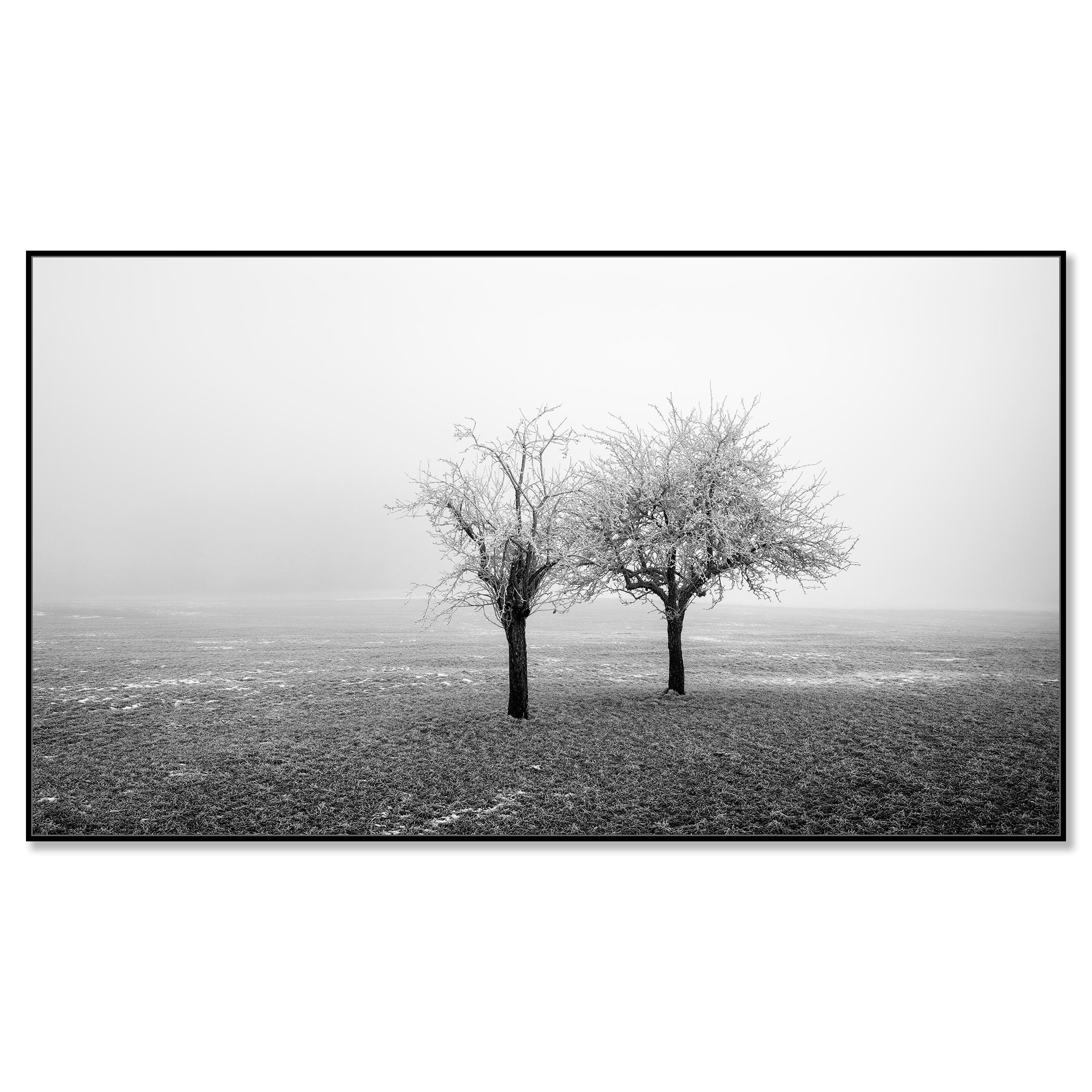 Panorama de árboles congelados en un campo, edición limitada de paisaje invernal minimalista - Photograph Contemporáneo de Gerald Berghammer
