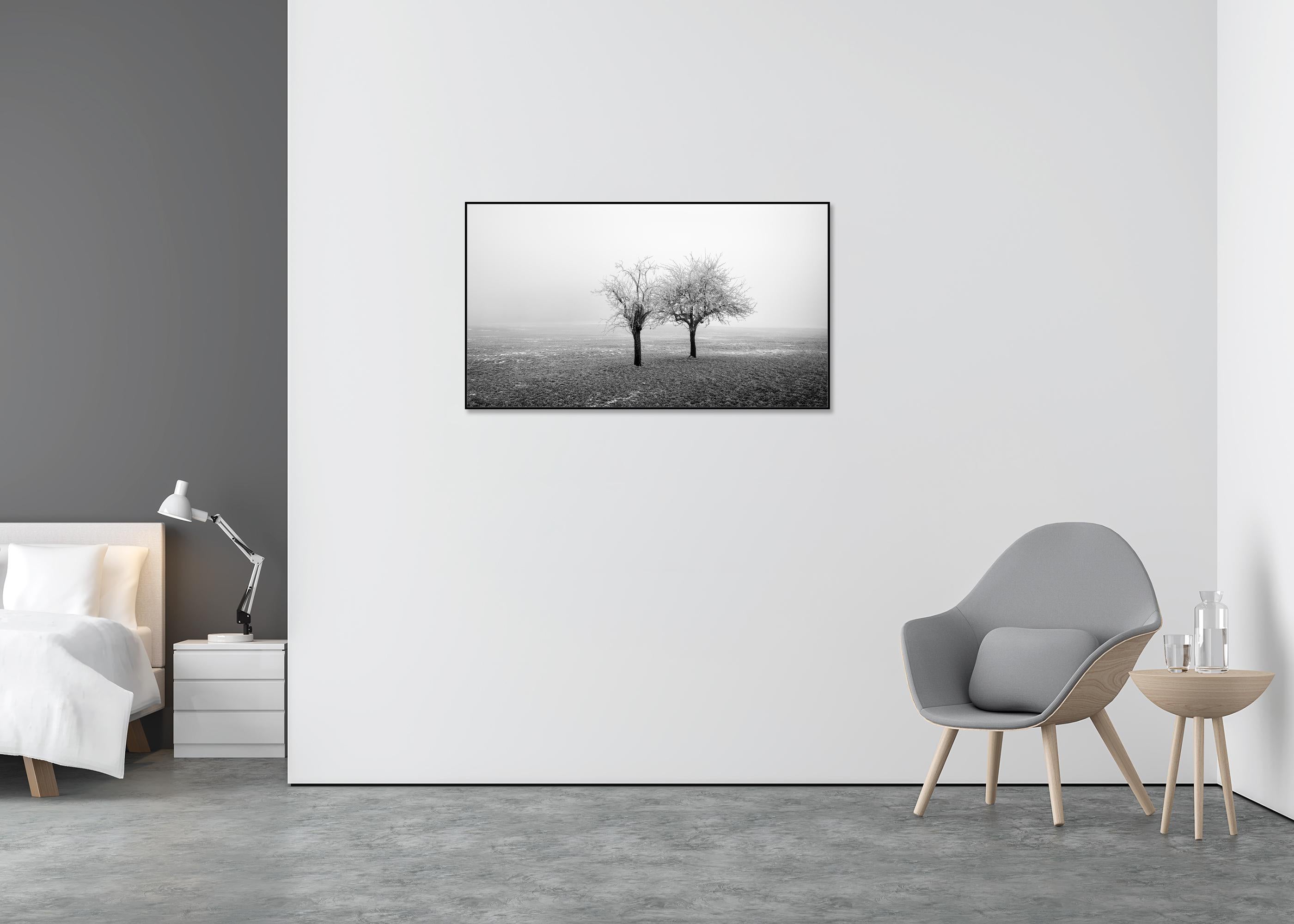 Panorama de árboles congelados en un campo, edición limitada de paisaje invernal minimalista - Landscape Photograph Gris de Gerald Berghammer