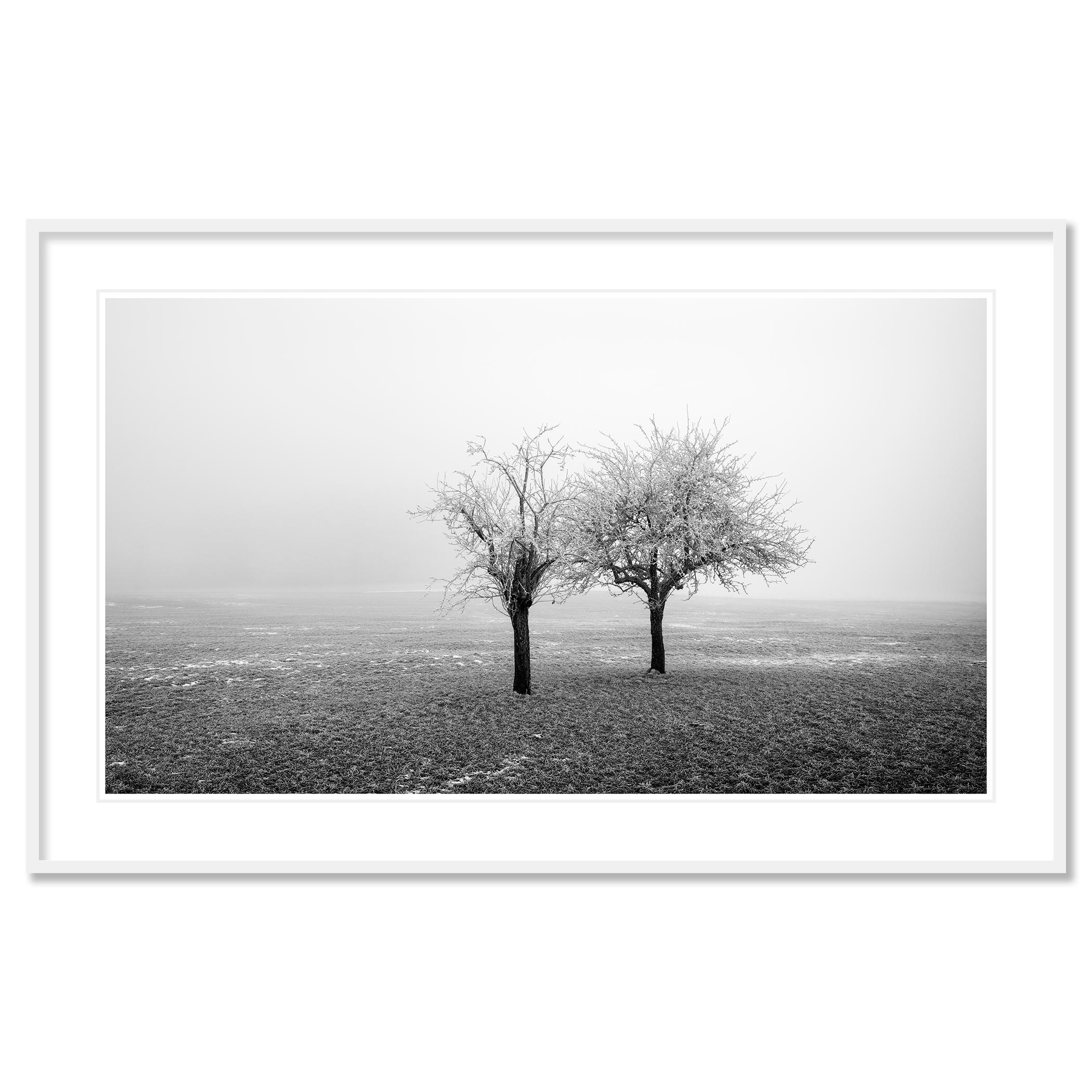 Árboles congelados en un campo Estudio panorámico 1, Austria - no. 21356
Impresión con tinta de pigmento de archivo en una edición limitada de 7 ejemplares. Las impresiones se realizan por encargo en ediciones limitadas sobre Hahnemuehle Photo Rag