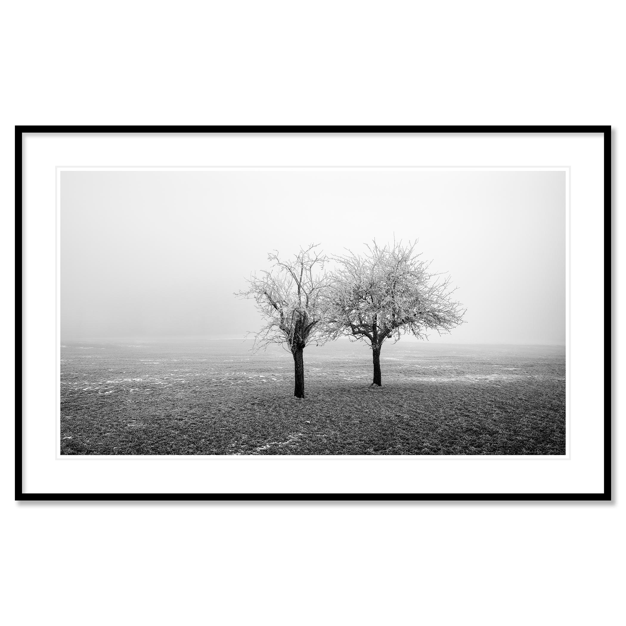 Panorama de árboles congelados en un campo, edición limitada de paisaje invernal minimalista en venta 1