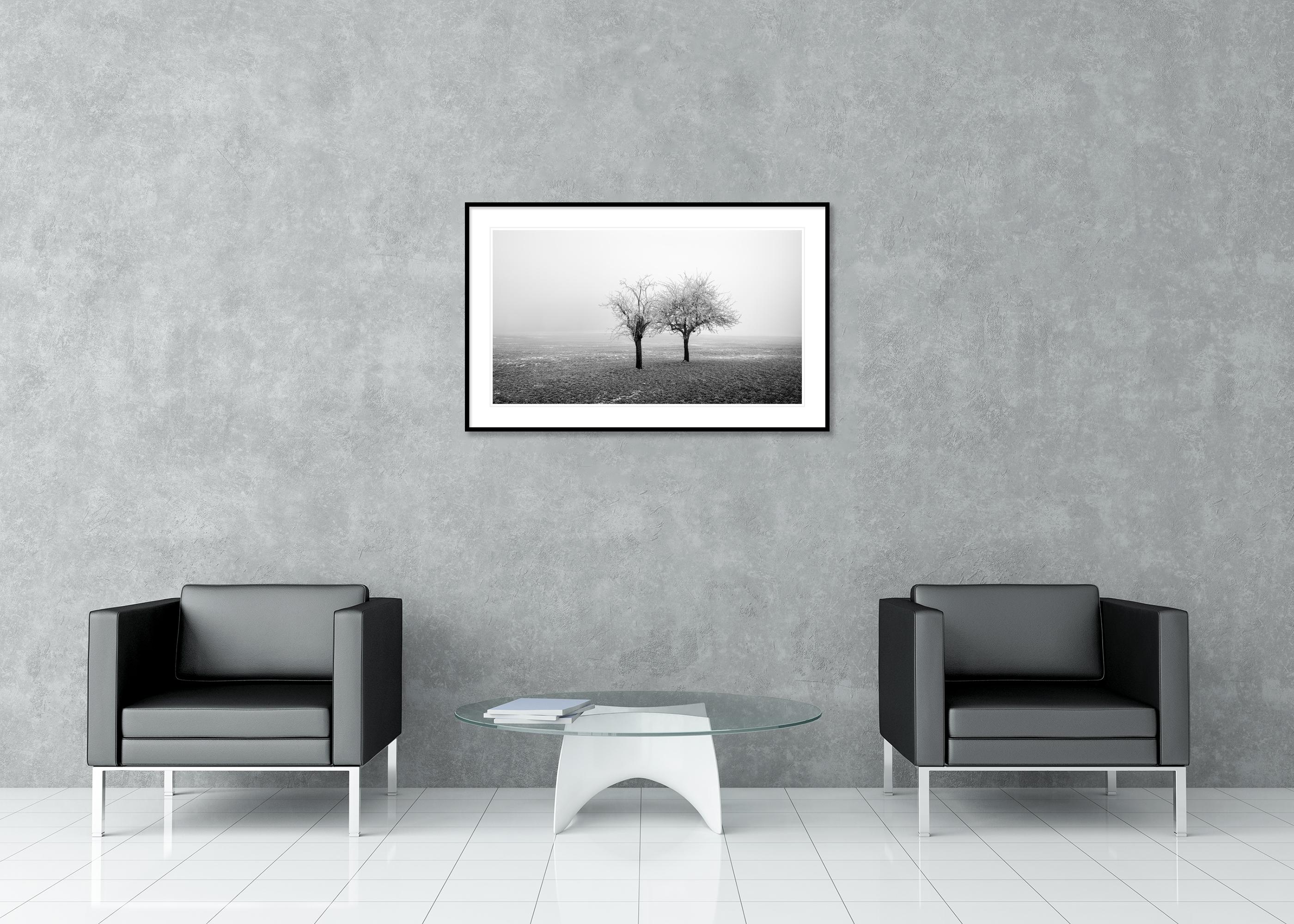 Panorama de árboles congelados en un campo, edición limitada de paisaje invernal minimalista en venta 2