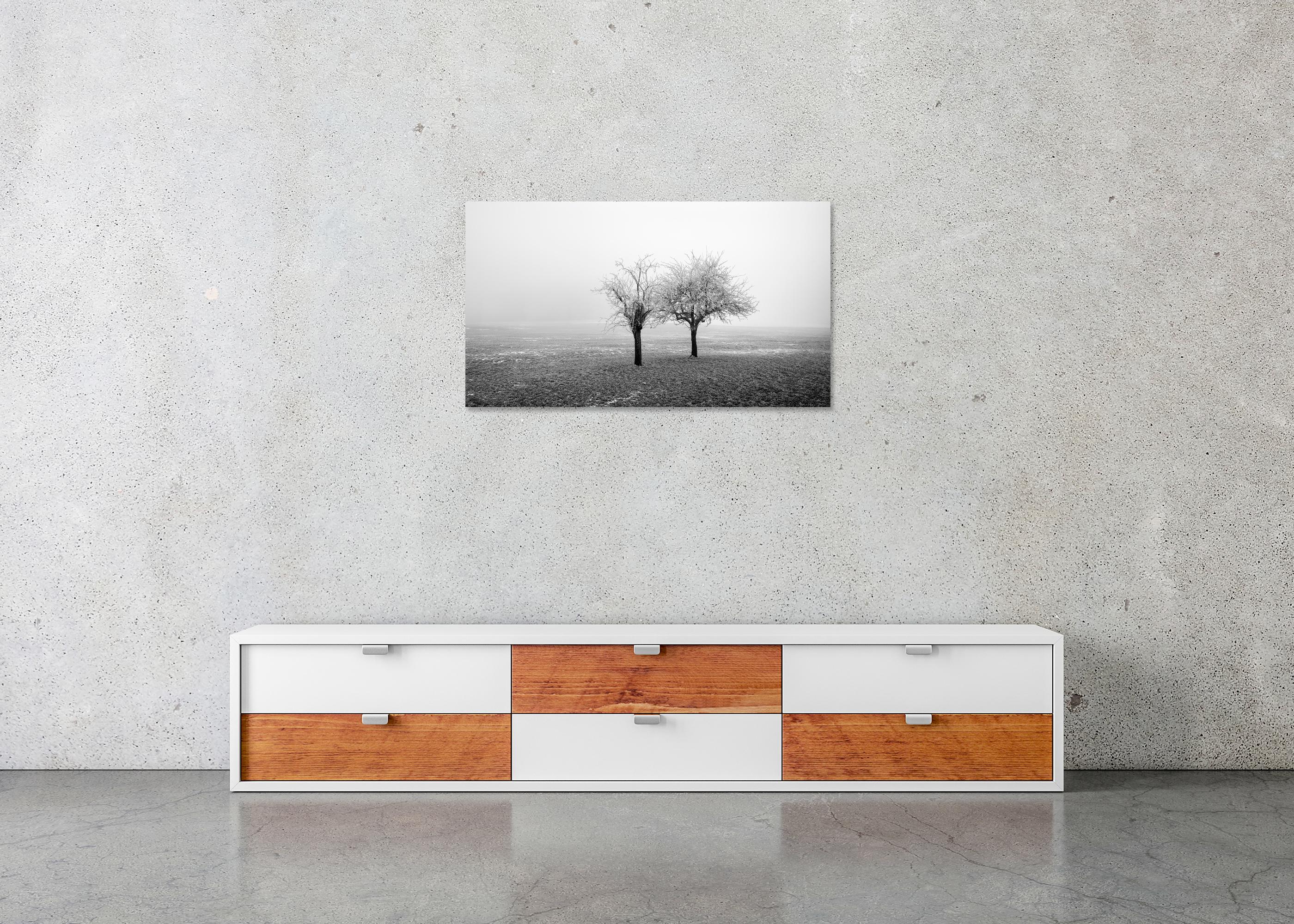 Panorama de árboles congelados en un campo, edición limitada de paisaje invernal minimalista en venta 4