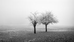 Black and White Photography
