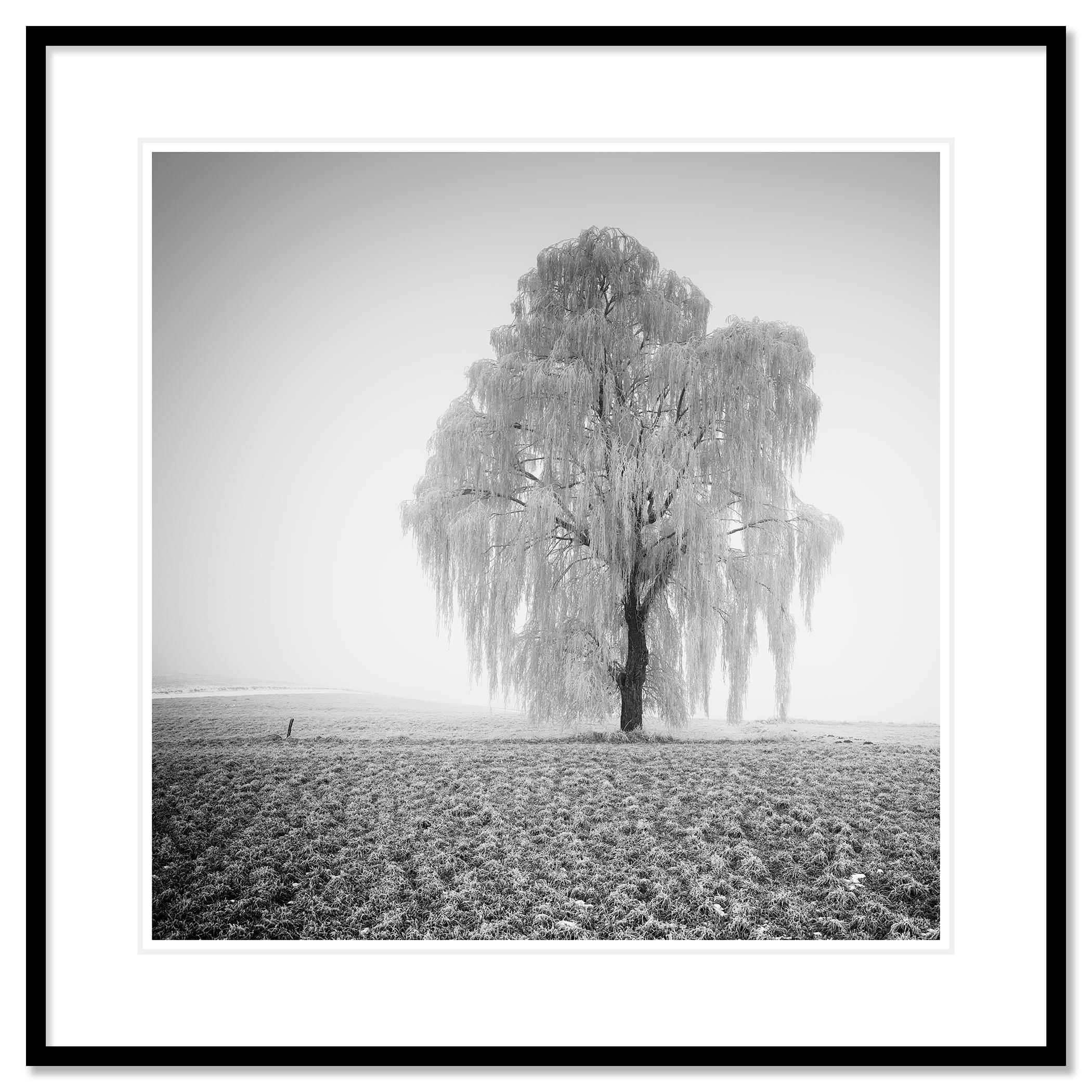 Black and white fine art winter landscape photography print. Archival pigment ink print, edition of 7. Signed, titled, dated and numbered by artist. Certificate of authenticity included. Printed with 4cm white border.
International award winner