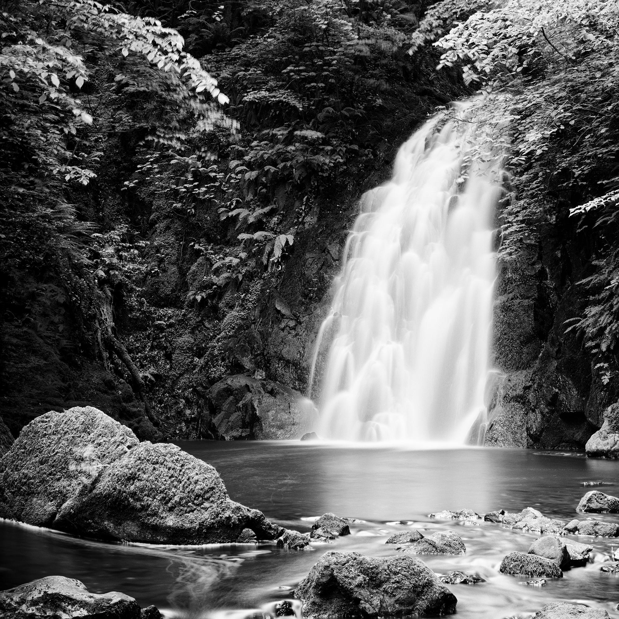 Glenoe Waterfall, Irlande, photographie noir et blanc, édition limitée, paysage en vente 5