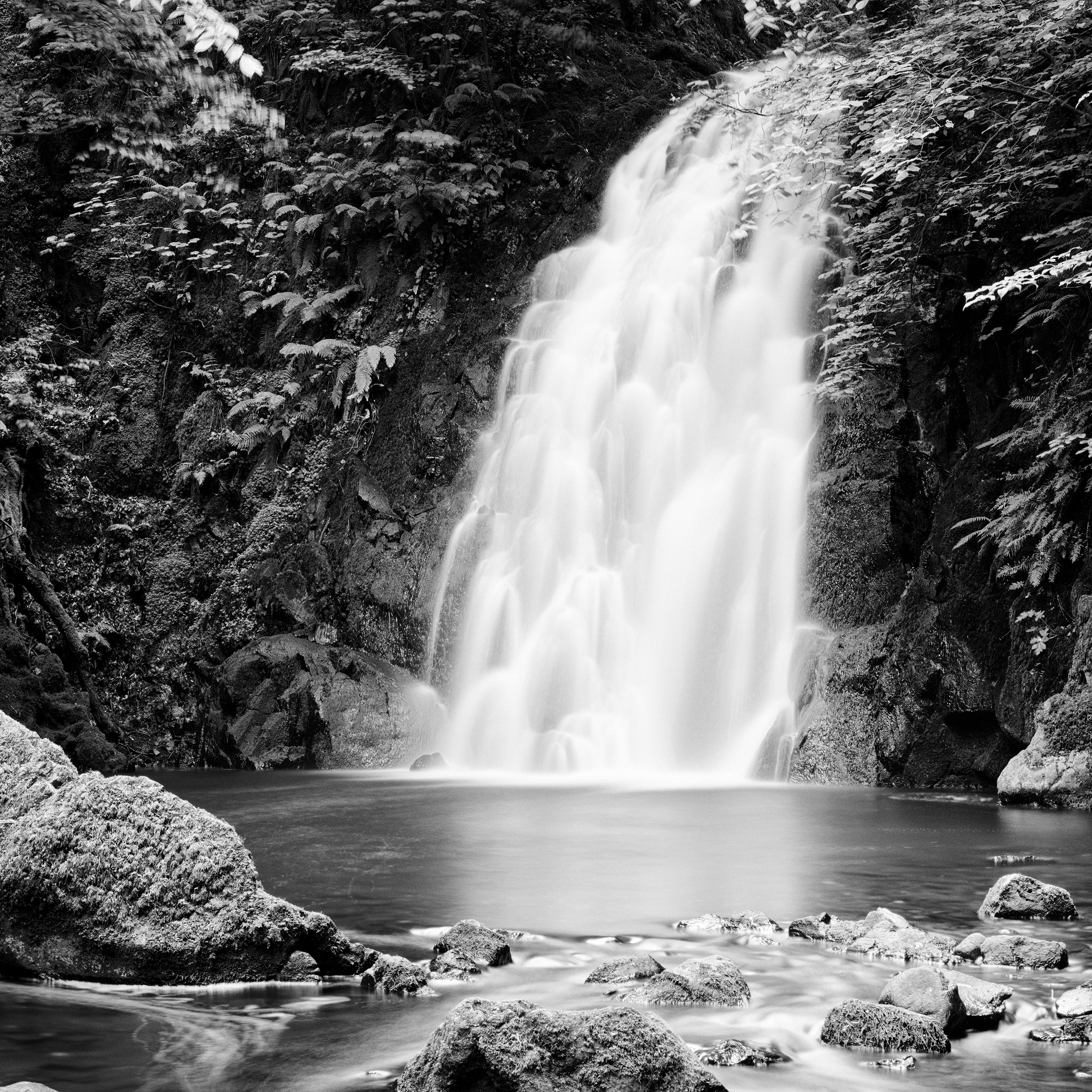 Glenoe Wasserfall Irland Schwarz-Weiß-Wasserlandschafts-Fotografie im Angebot 4