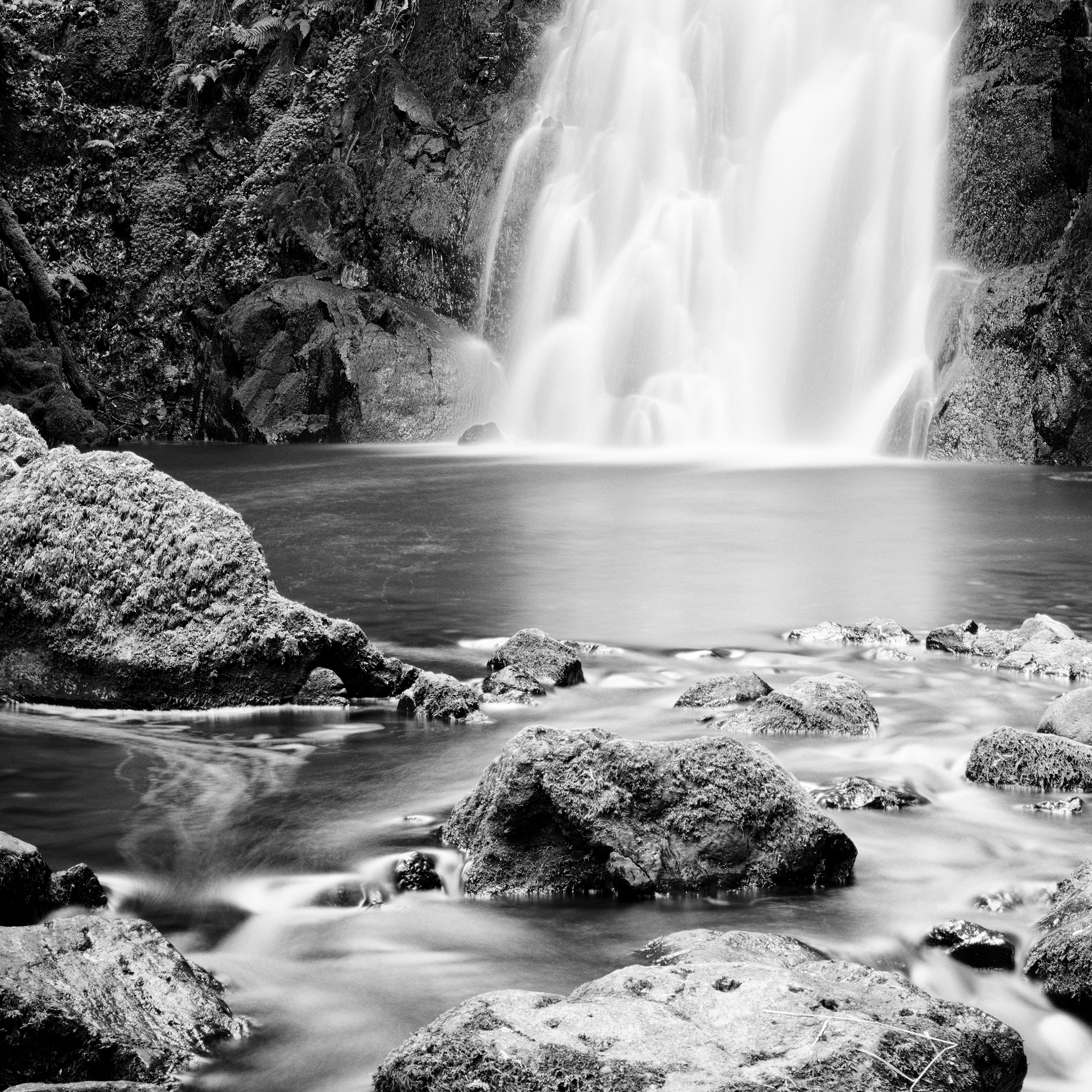 Glenoe Waterfall Ireland black and white waterscape landscape art photography For Sale 1