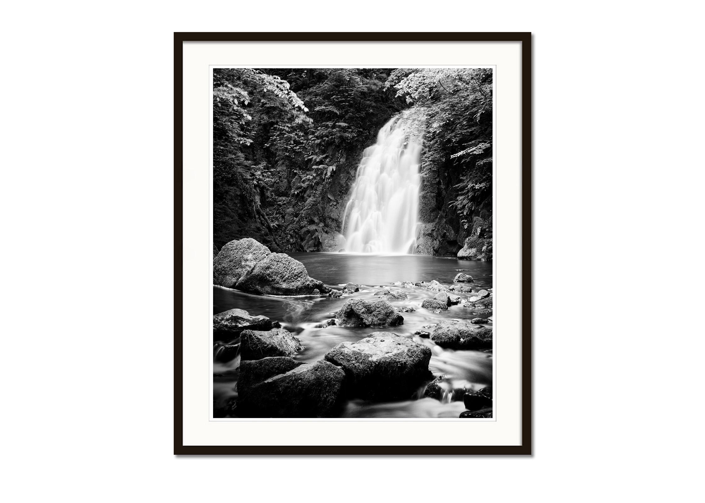 Schwarz-Weiß-Fotografie mit Langzeitbelichtung für Wasserlandschaften - Landschaftsfotografie. Atemberaubender Glenoe-Wasserfall inmitten eines wunderschönen Waldes in Nordirland. Pigmenttintendruck in einer limitierten Auflage von 8 Exemplaren.