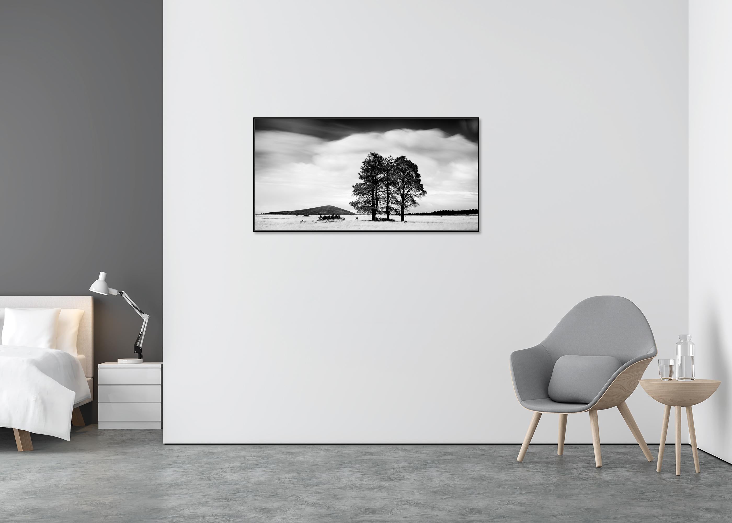 black and white grass