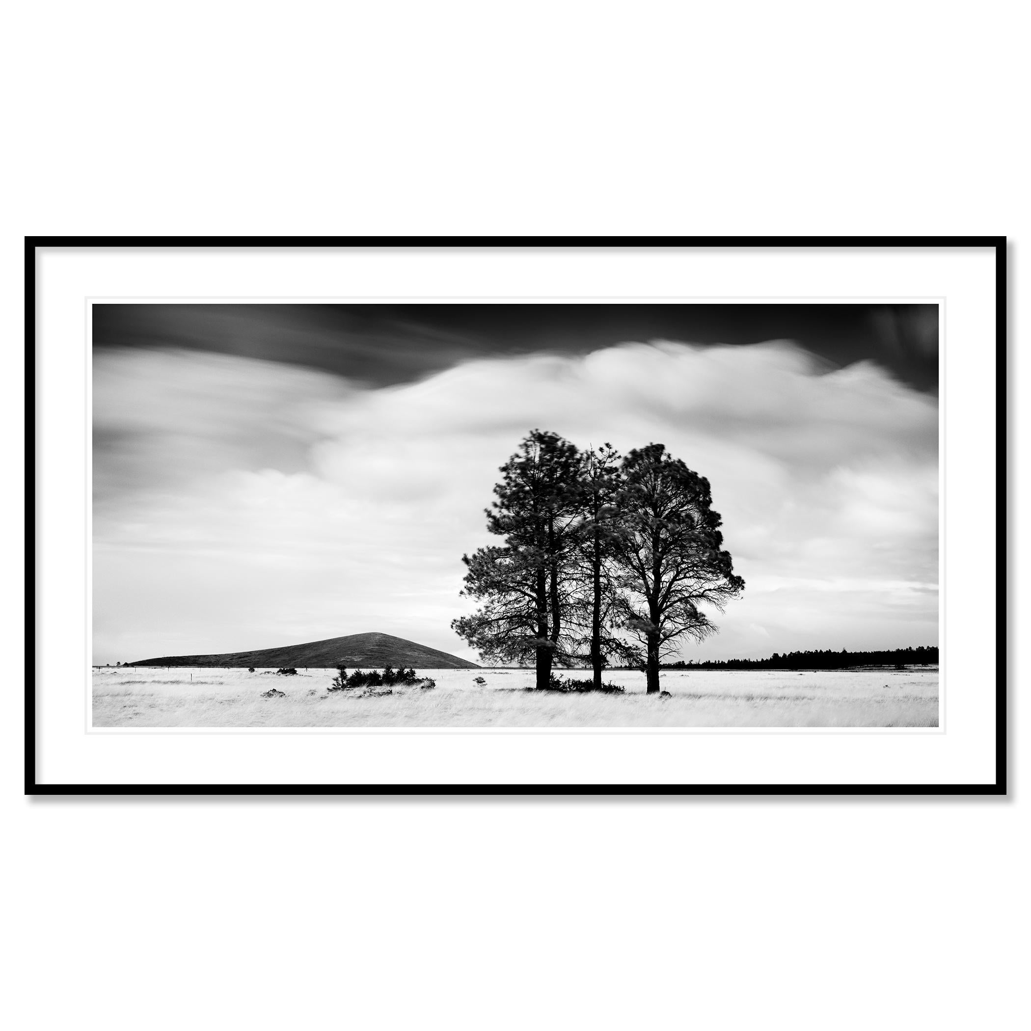 black and white landscape photography for sale