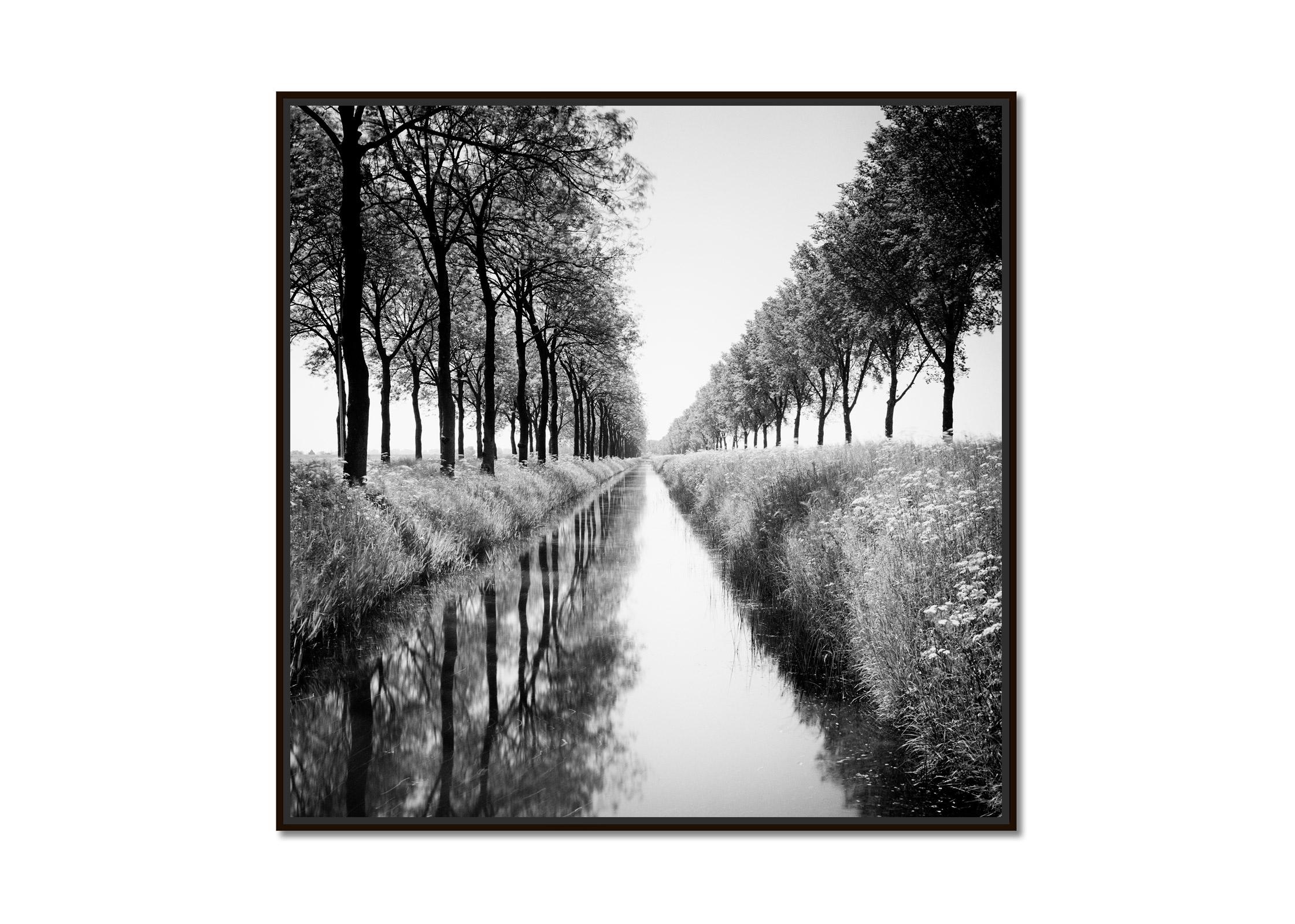 Gracht, tree avenue, water reflection, black and white long exposure photography - Photograph by Gerald Berghammer