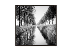 Gracht, tree avenue, water reflection, black and white long exposure photography