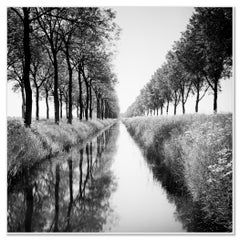Gracht, avenida de árboles, reflejo del agua, fotografía de larga exposición en blanco y negro