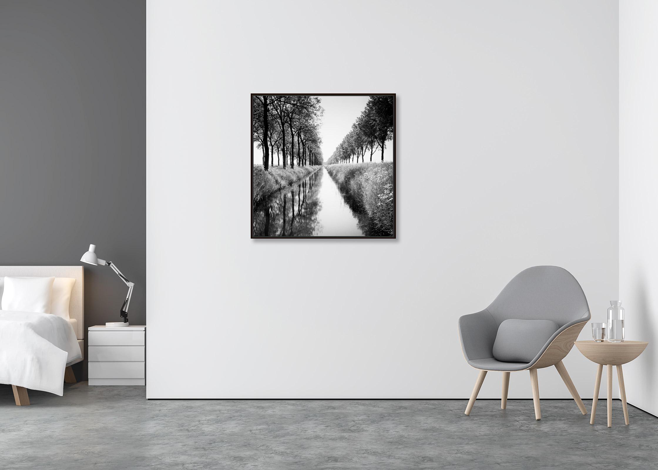 Gracht, tree avenue, water reflection, black and white long exposure photography - Contemporary Photograph by Gerald Berghammer