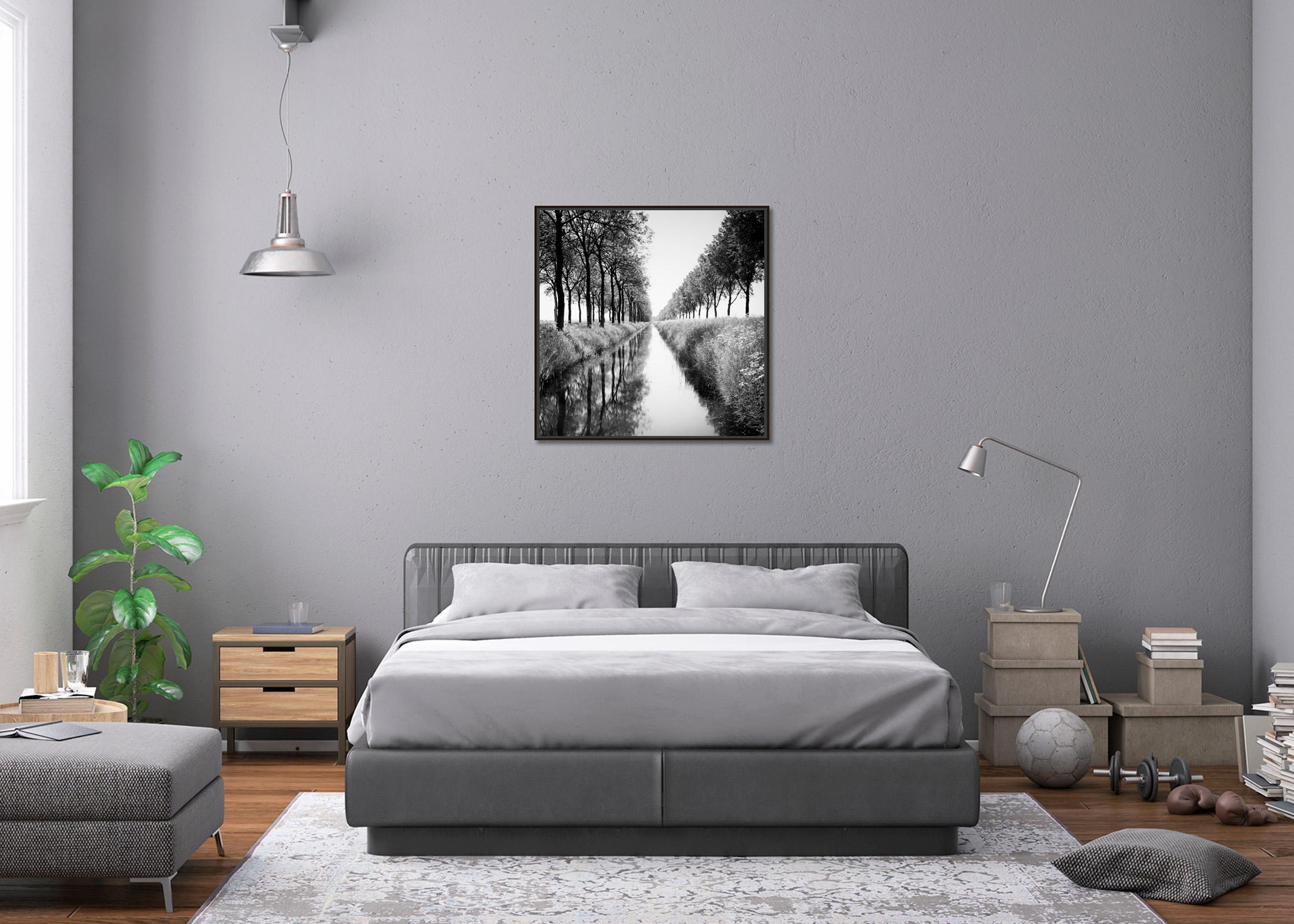Gracht, tree avenue, water reflection, black and white long exposure photography For Sale 1