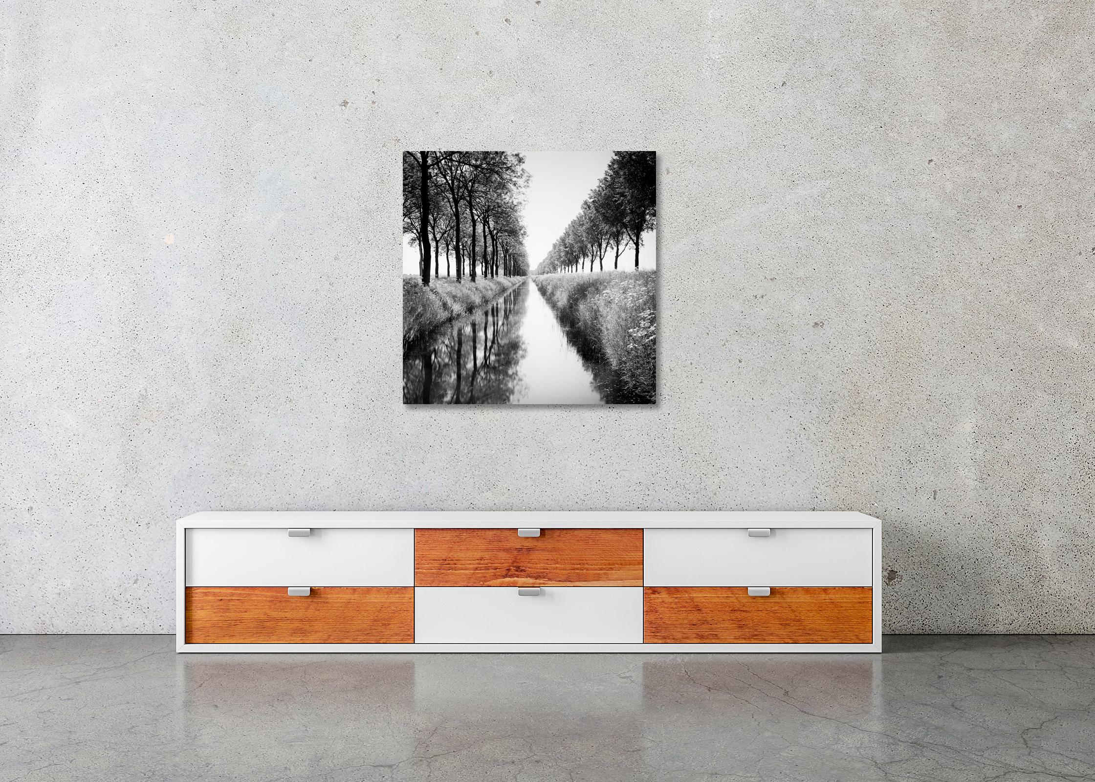 Gracht, tree avenue, water reflection, black and white long exposure photography For Sale 2