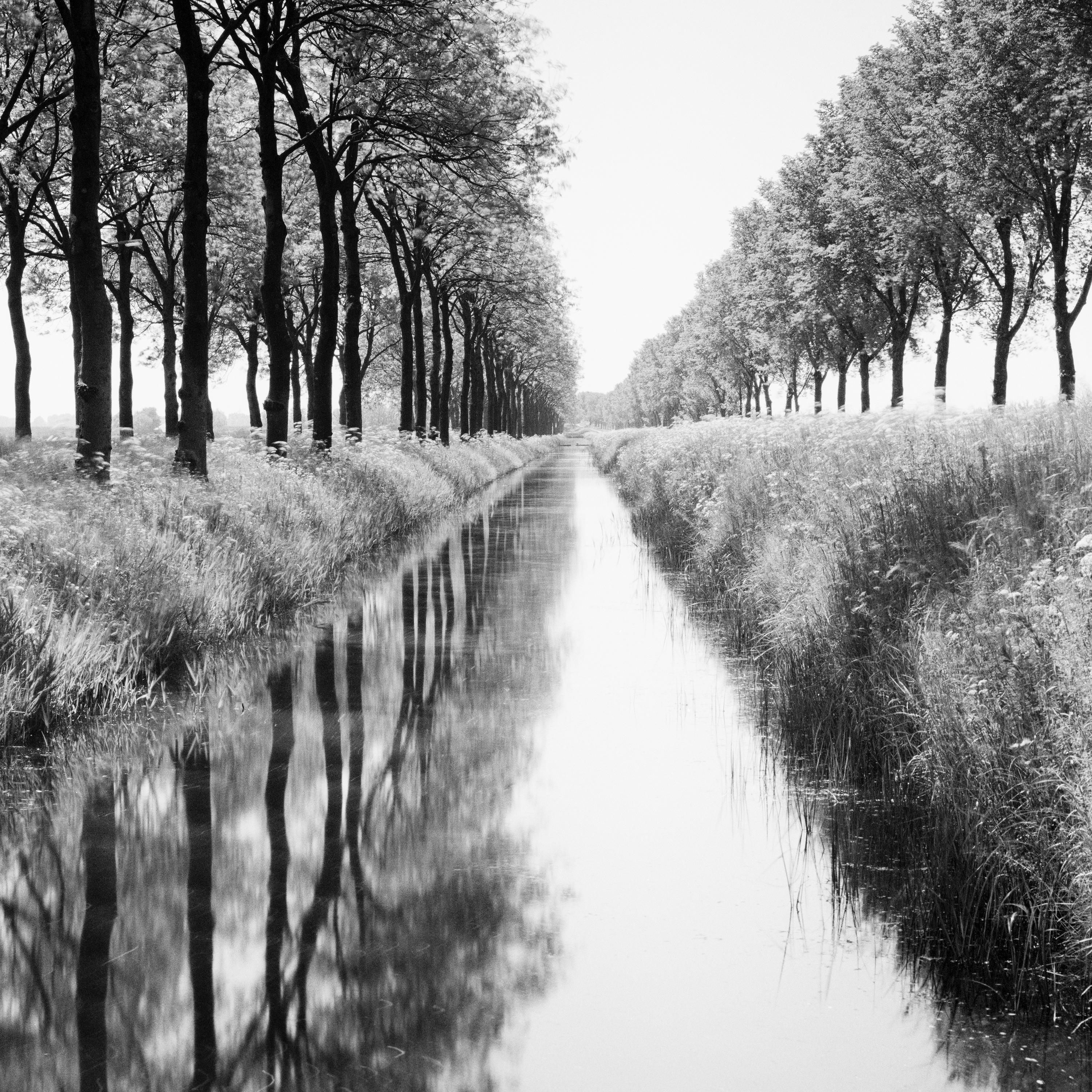 Gracht, tree avenue, water reflection, black and white long exposure photography For Sale 3